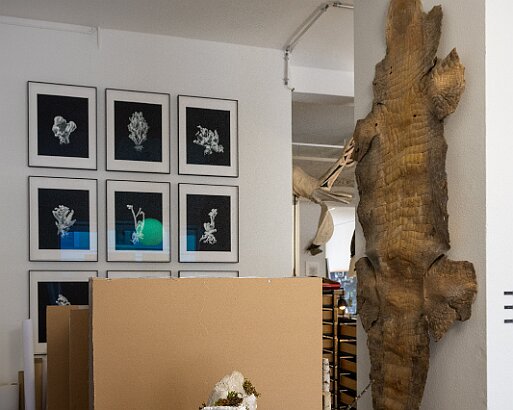 AI-S Mitgliederversammlung Besichtigung Werk-Bibliothek von Lucius und Annemarie Burckhardt-Wackernagel im Case Studio VOGT, Zürich
