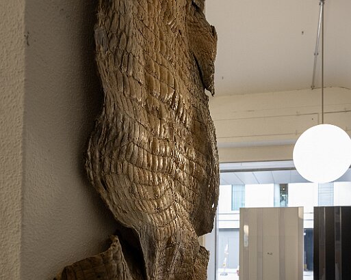 AI-S Mitgliederversammlung Besichtigung Werk-Bibliothek von Lucius und Annemarie Burckhardt-Wackernagel im Case Studio VOGT, Zürich