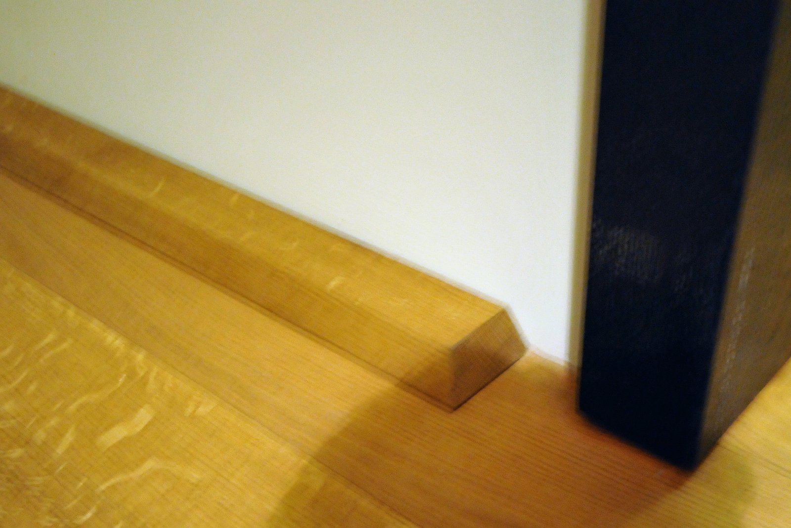 VSI.ASAI. Bundeshausbesichtigung 06. Februar 2010 