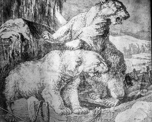 Designers' Saturday 2016