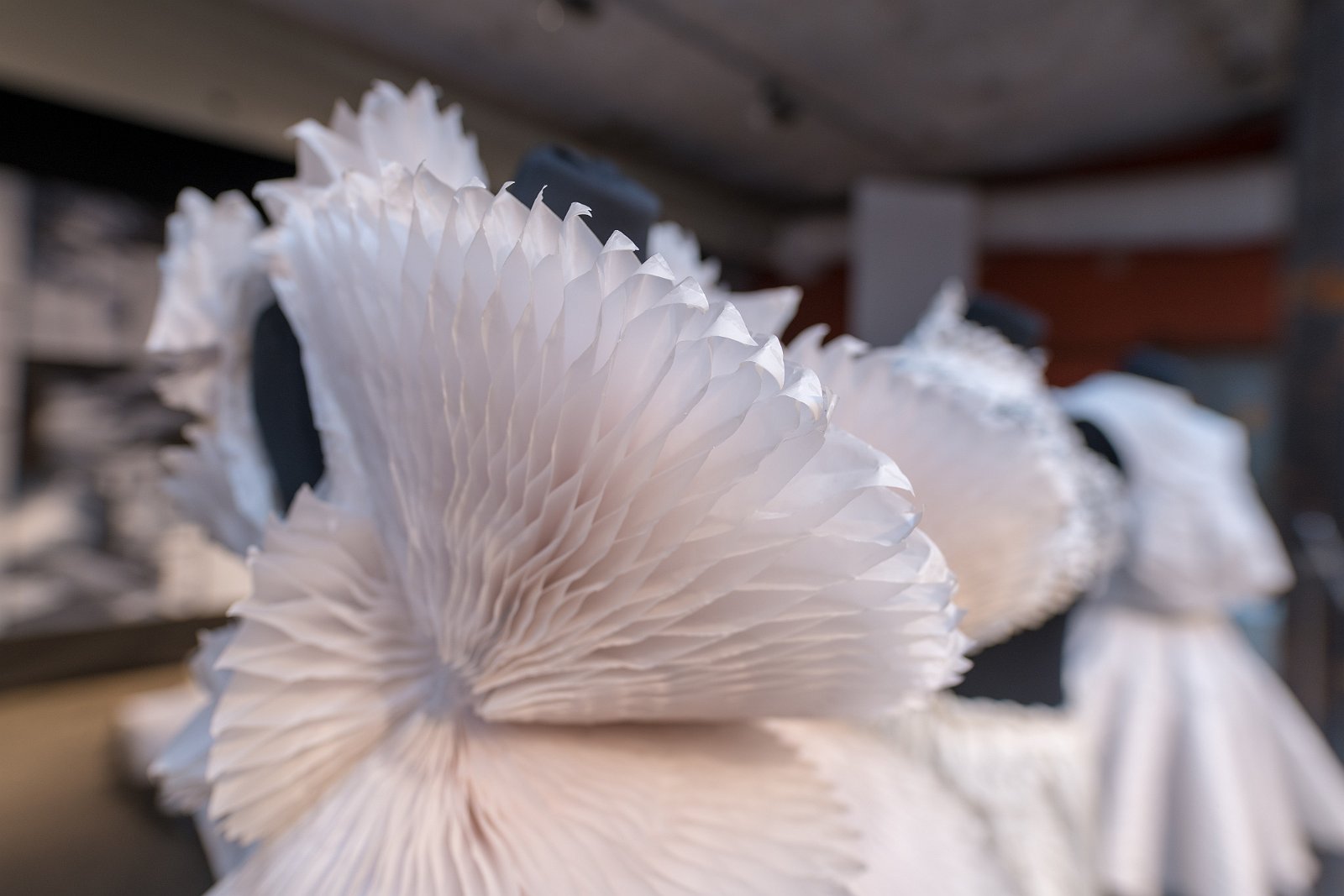 VSI.ASAI | Designer's Saturday Langenthal 2018 