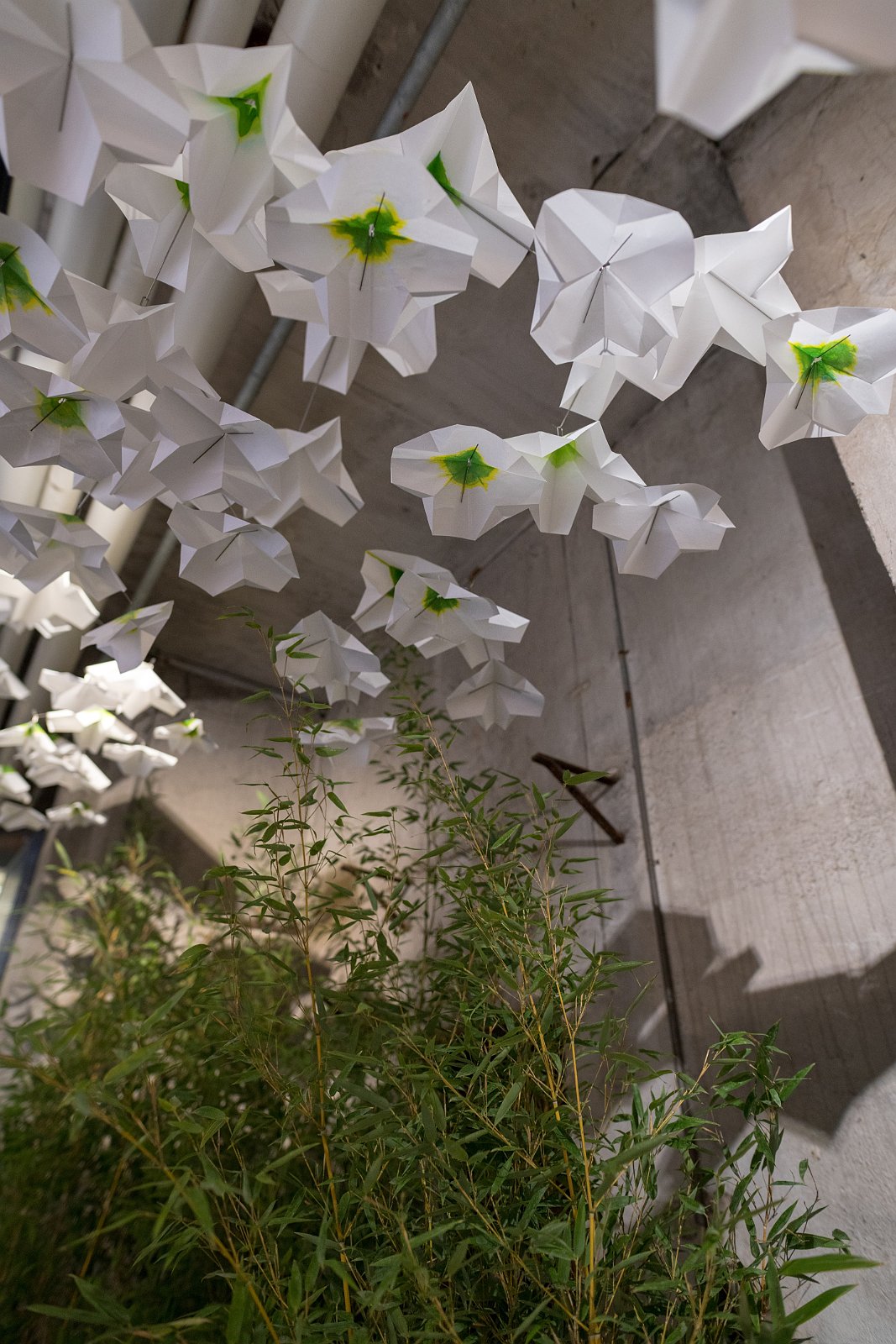 VSI.ASAI | Designer's Saturday Langenthal 2018 