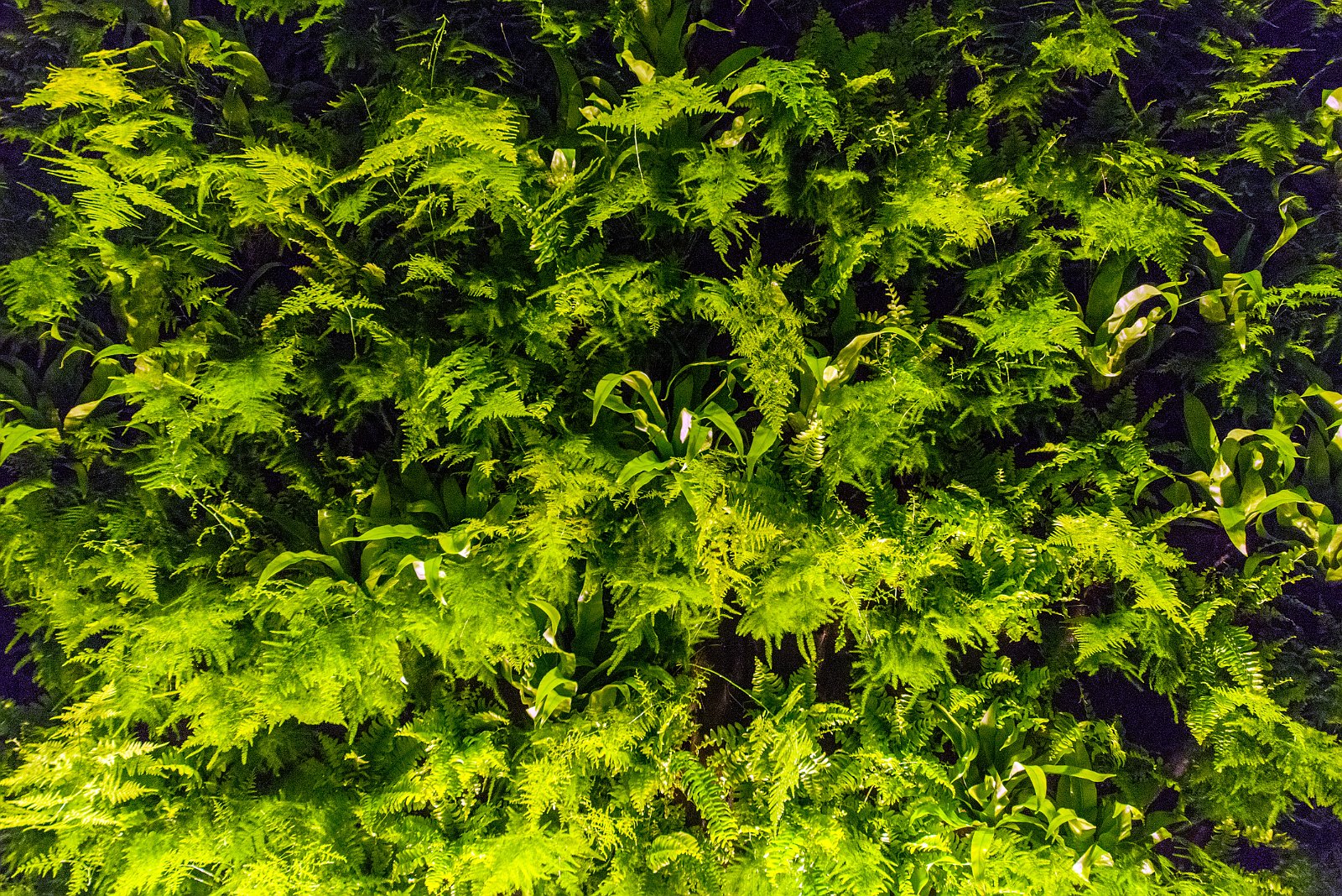 Designer Saturday 2014 | Langenthal 