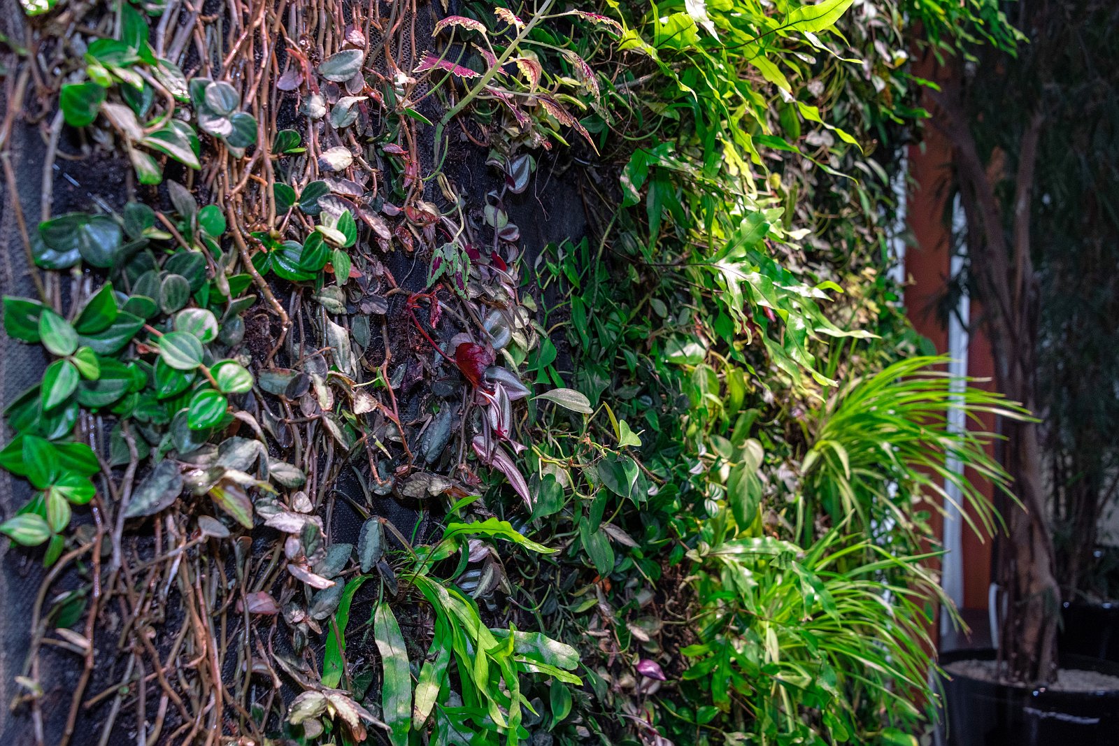 VSI.ASAI Generalversammlung 16. Juni 2018 Basel 