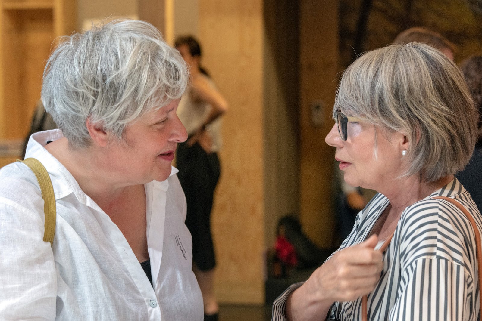 VSI.ASAI Generalversammlung 16. Juni 2018 Basel 