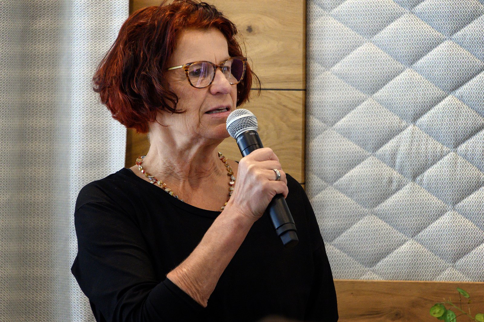 VSI.ASAI - Generalversammlung 21.-23. Juni 2019 