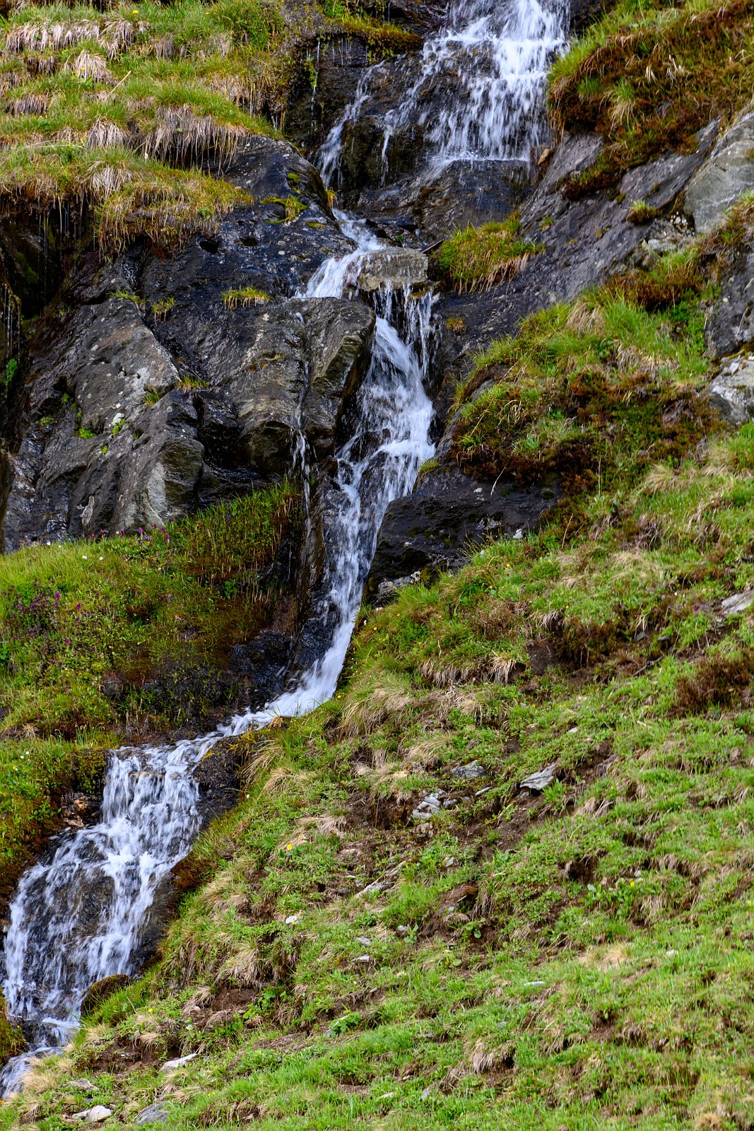 VSI.ASAI - Generalversammlung 21.-23. Juni 2019 Aufstieg im Schnee von Tiefenbach zur Albert-Heim-Hütte auf 2543 m.ü.M