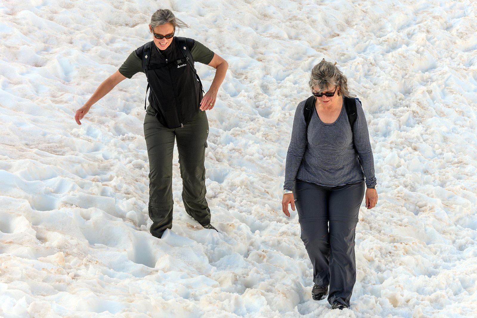 VSI.ASAI - Generalversammlung 21.-23. Juni 2019 Aufstieg im Schnee von Tiefenbach zur Albert-Heim-Hütte auf 2543 m.ü.M