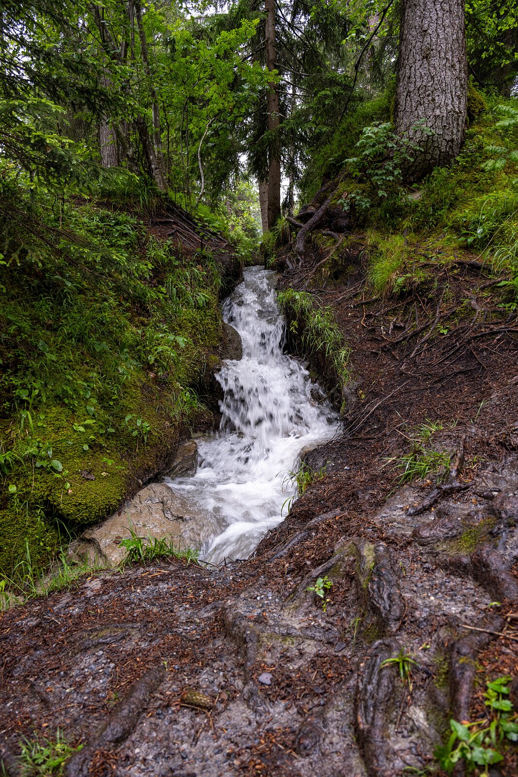 VSI.ASAI. Generalversammlung Flims Wanderung zum Caumasee und zur Aussichtsplattform "il Spir".