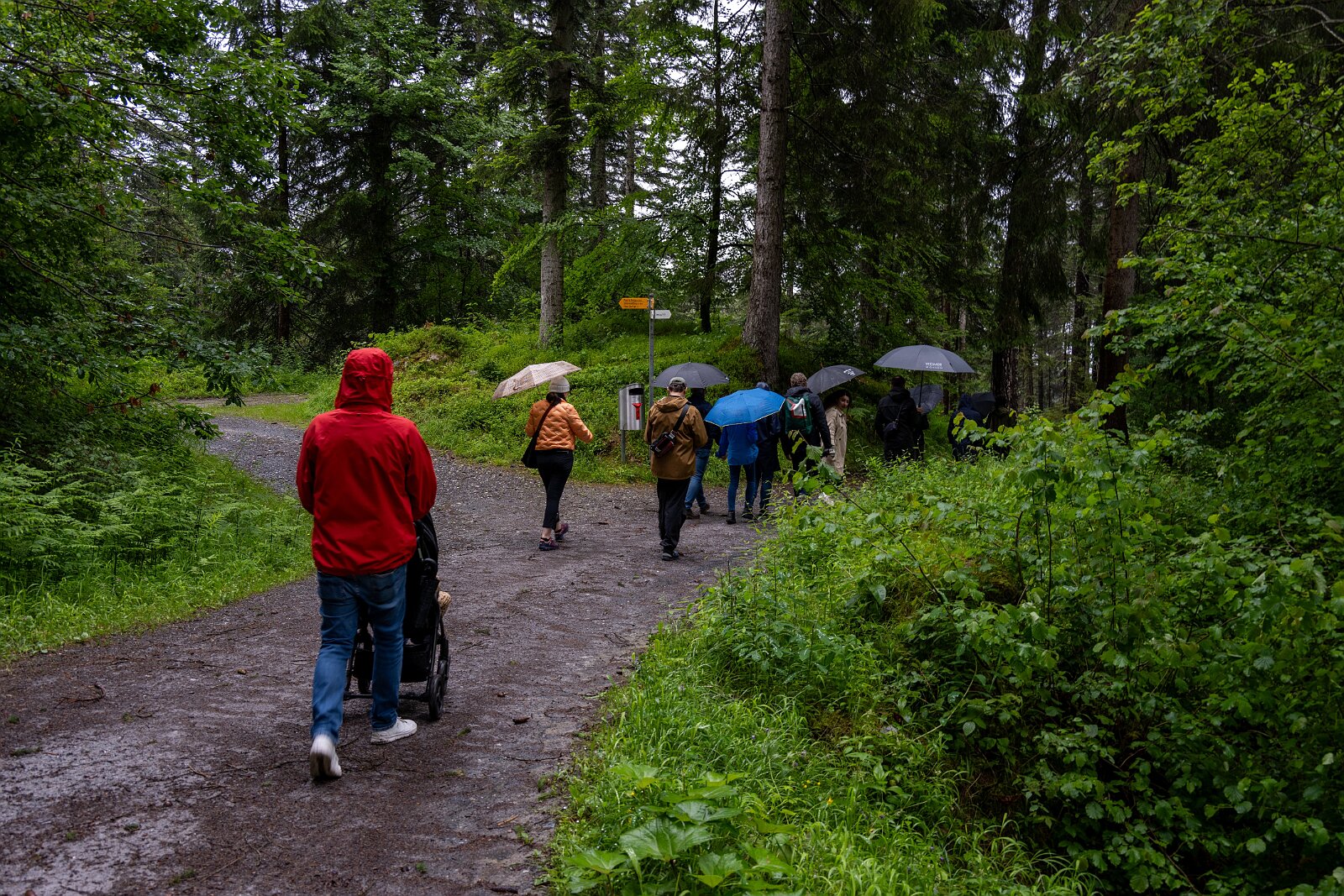 VSI.ASAI. Generalversammlung Flims Wanderung zum Caumasee und zur Aussichtsplattform "il Spir".
