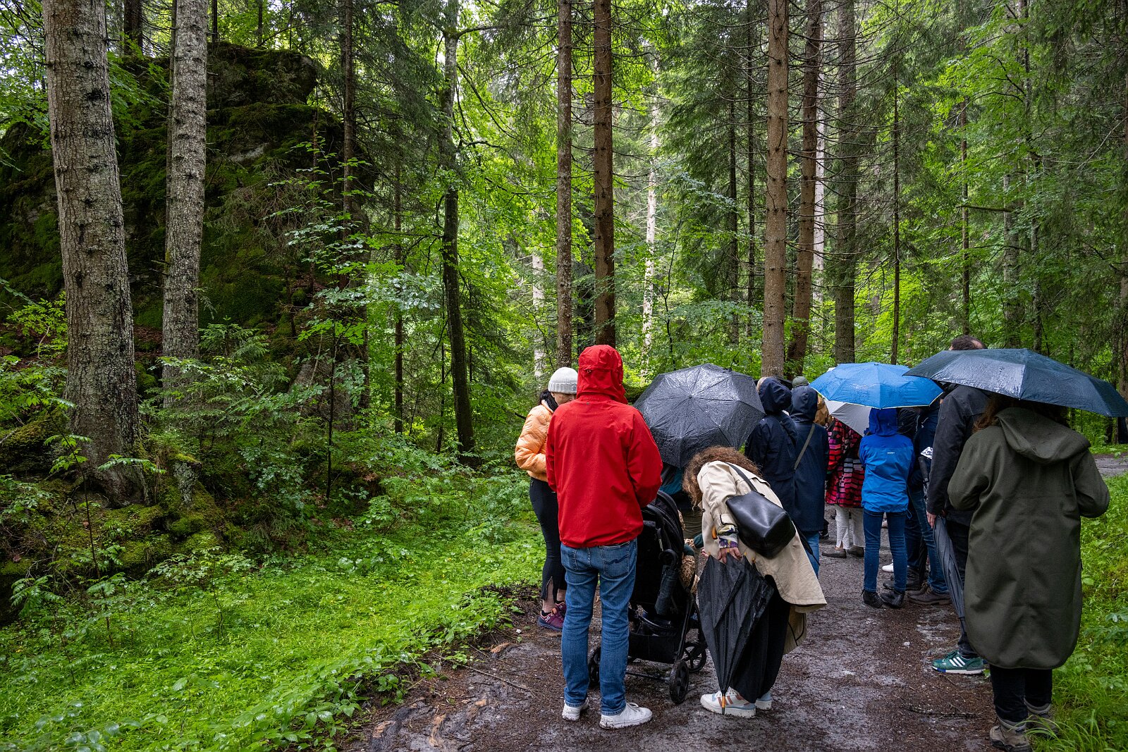 VSI.ASAI. Generalversammlung Flims Wanderung zum Caumasee und zur Aussichtsplattform "il Spir".