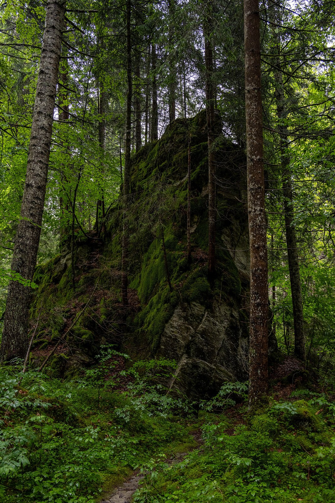 VSI.ASAI. Generalversammlung Flims Wanderung zum Caumasee und zur Aussichtsplattform "il Spir".