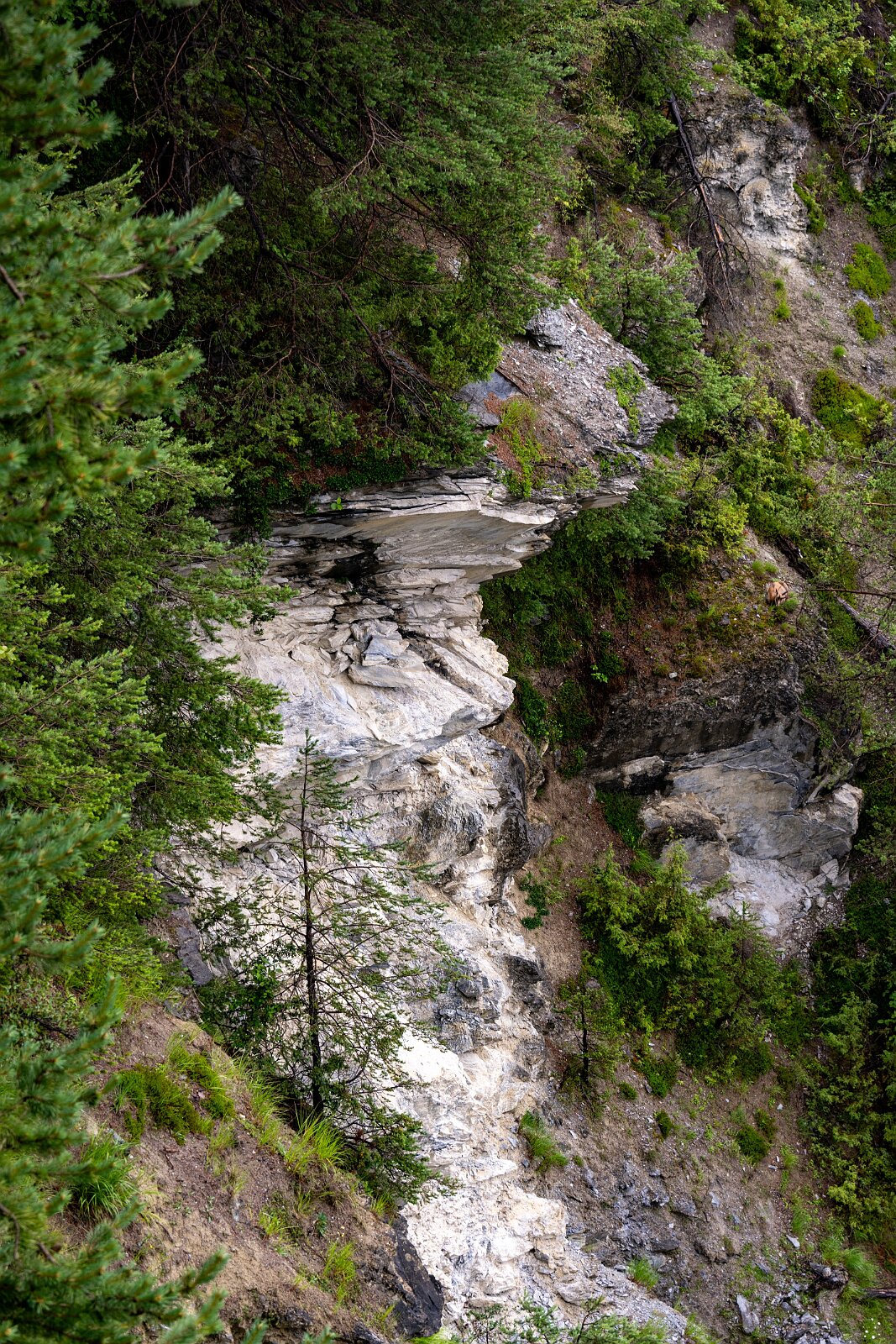 VSI.ASAI. Generalversammlung Flims Wanderung zum Caumasee und zur Aussichtsplattform "il Spir".