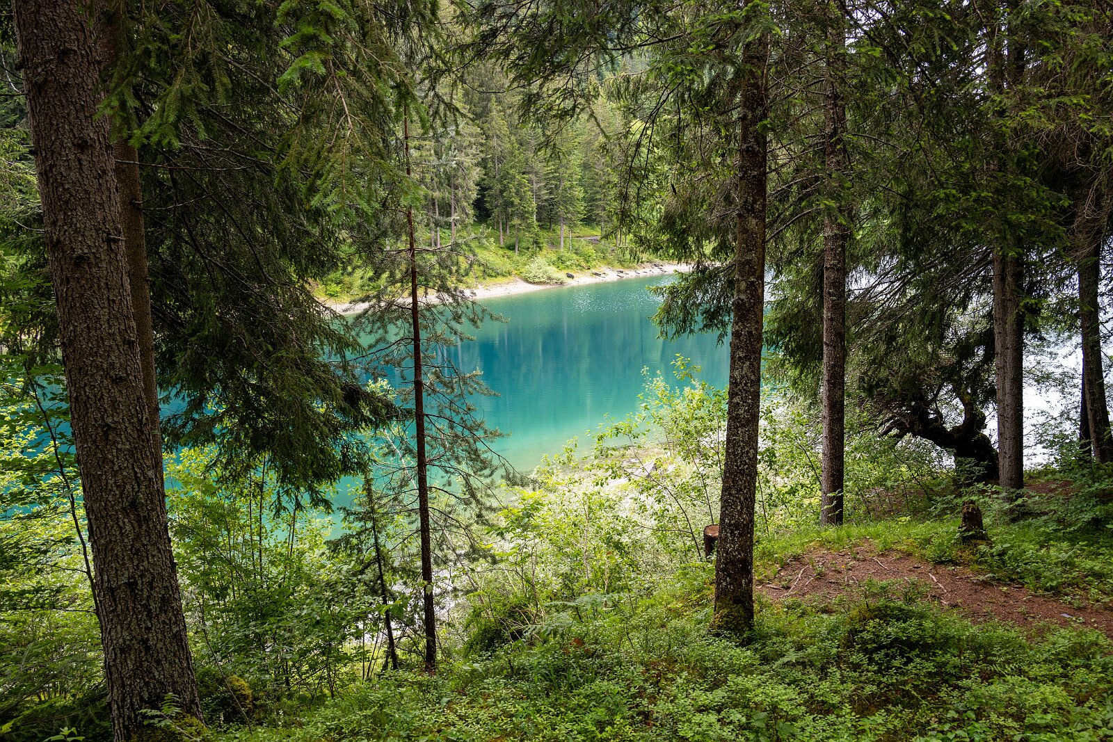 VSI.ASAI. Generalversammlung Flims Wanderung zum Caumasee und zur Aussichtsplattform "il Spir".