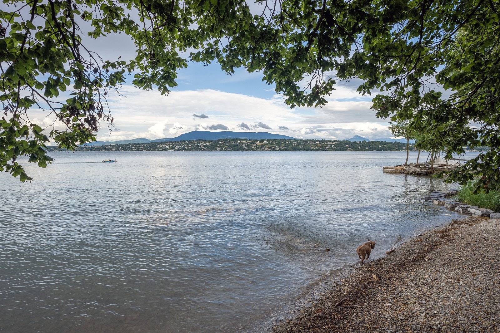 VSI.ASAI. - Generalversammlung in Lausanne, Geneva 24./25.06.2022 Jardin botanique