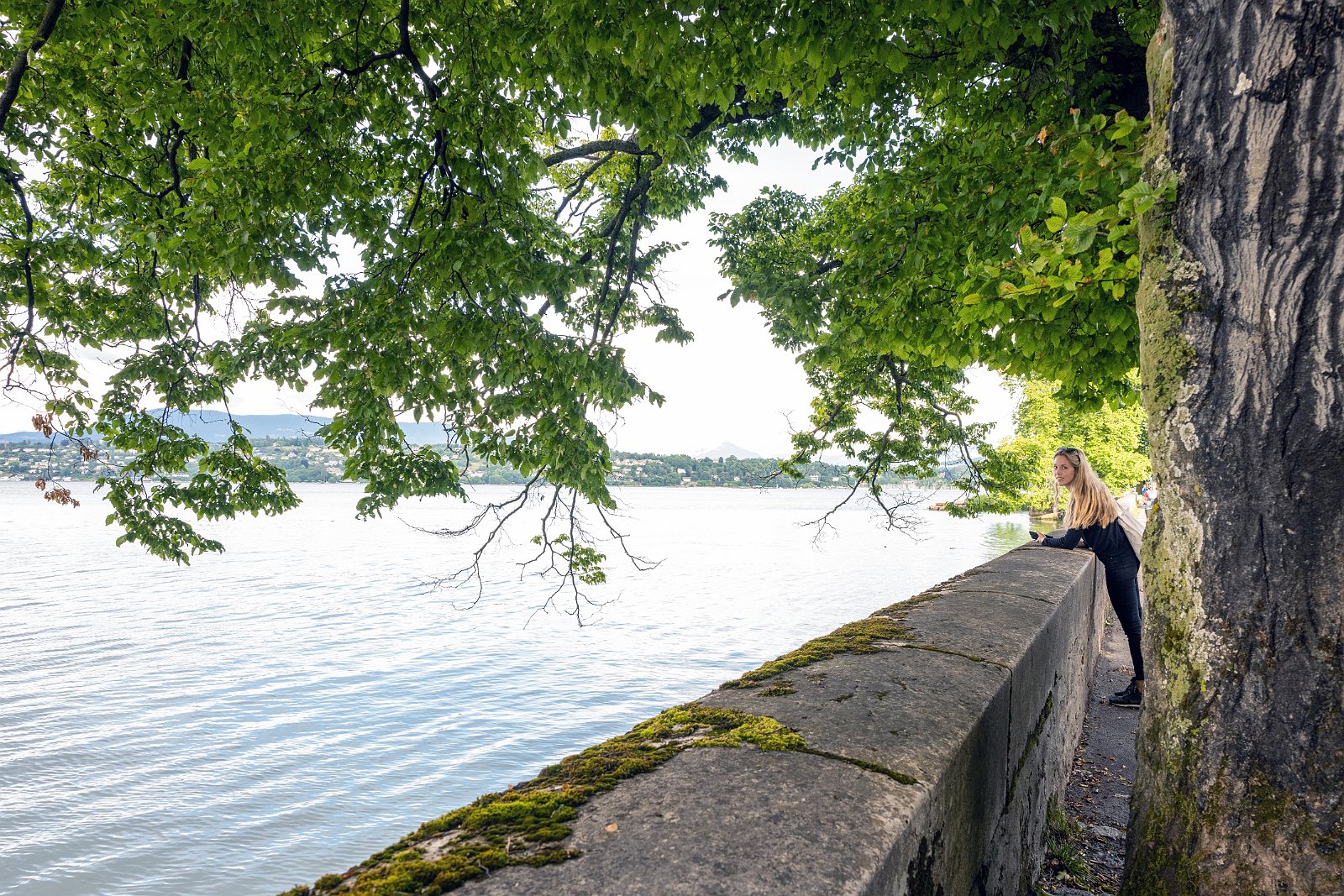 VSI.ASAI. - Generalversammlung in Lausanne, Geneva 24./25.06.2022 Jardin botanique