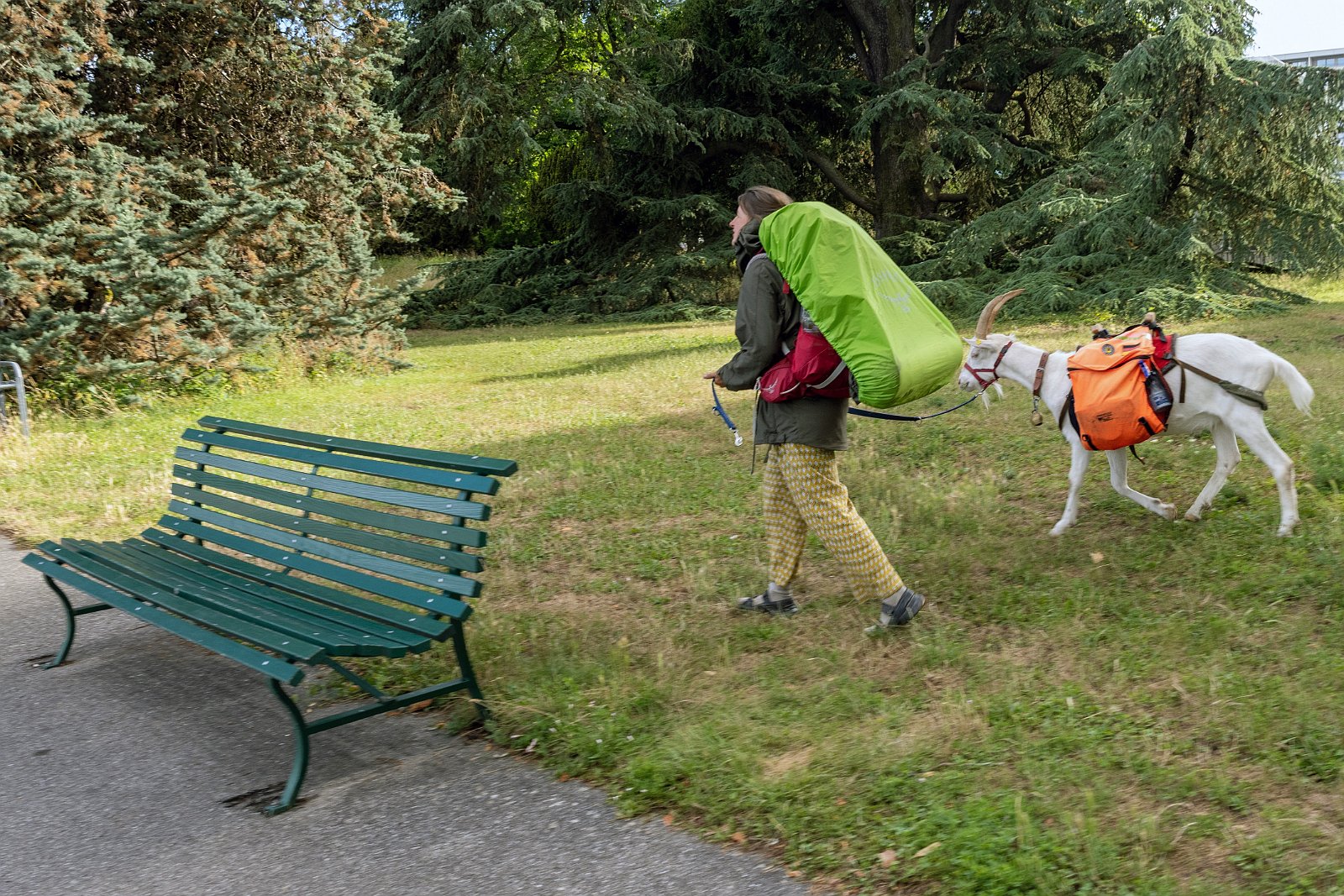 VSI.ASAI. - Generalversammlung in Lausanne, Geneva 24./25.06.2022 Jardin botanique