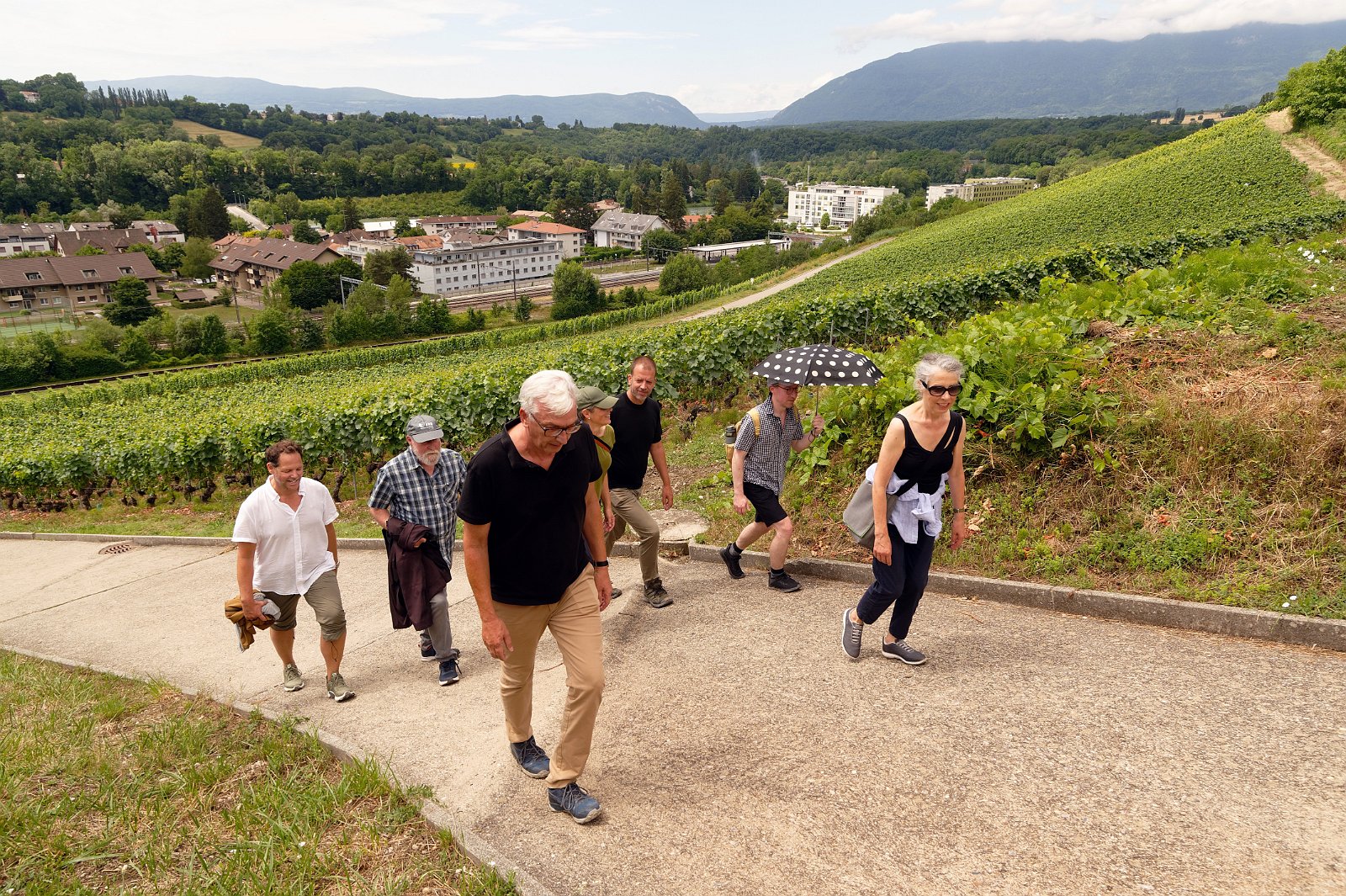 VSI.ASAI. - Generalversammlung in Lausanne, Geneva 26.06.2022 Wanderung durch die Rebberge