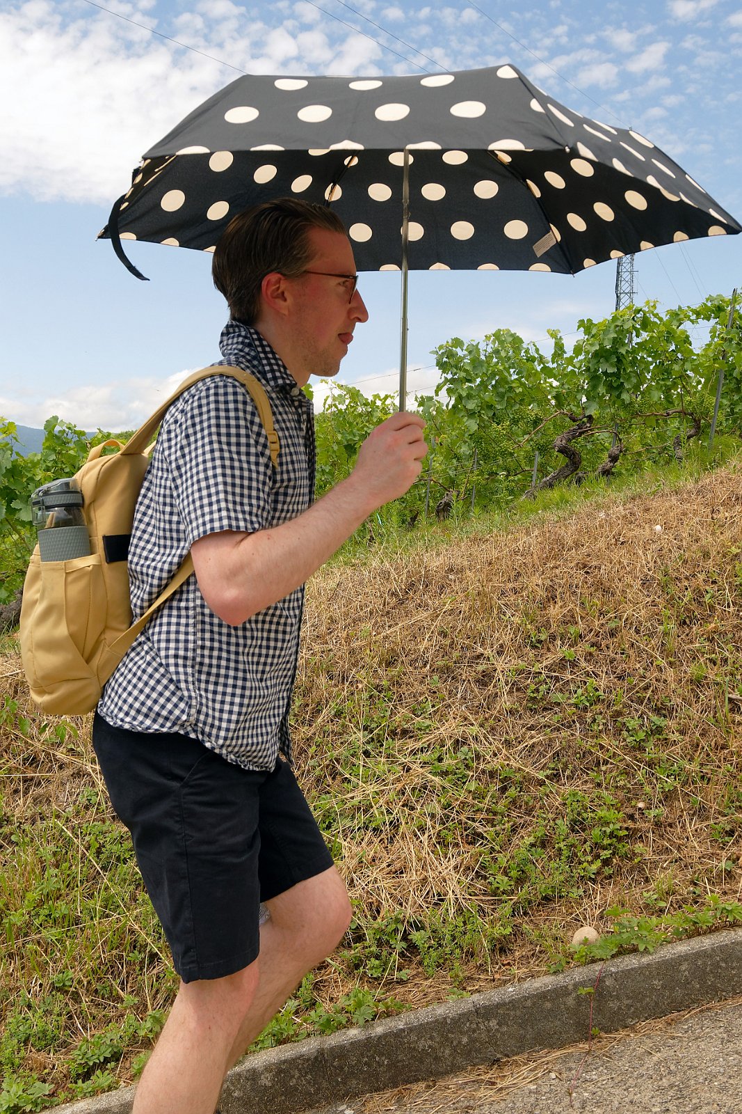 VSI.ASAI. - Generalversammlung in Lausanne, Geneva 26.06.2022 Wanderung durch die Rebberge