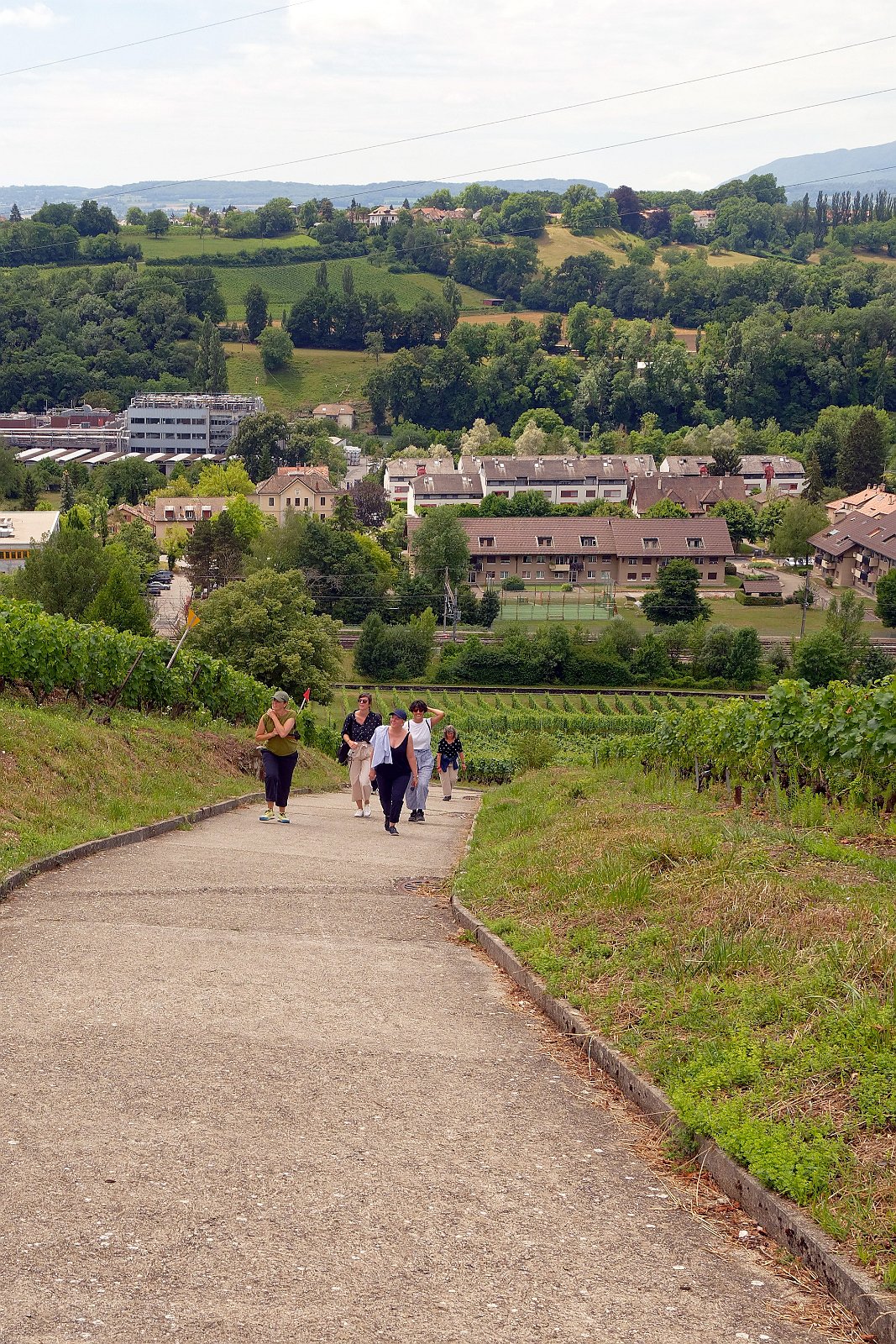 VSI.ASAI. - Generalversammlung in Lausanne, Geneva 26.06.2022 Wanderung durch die Rebberge