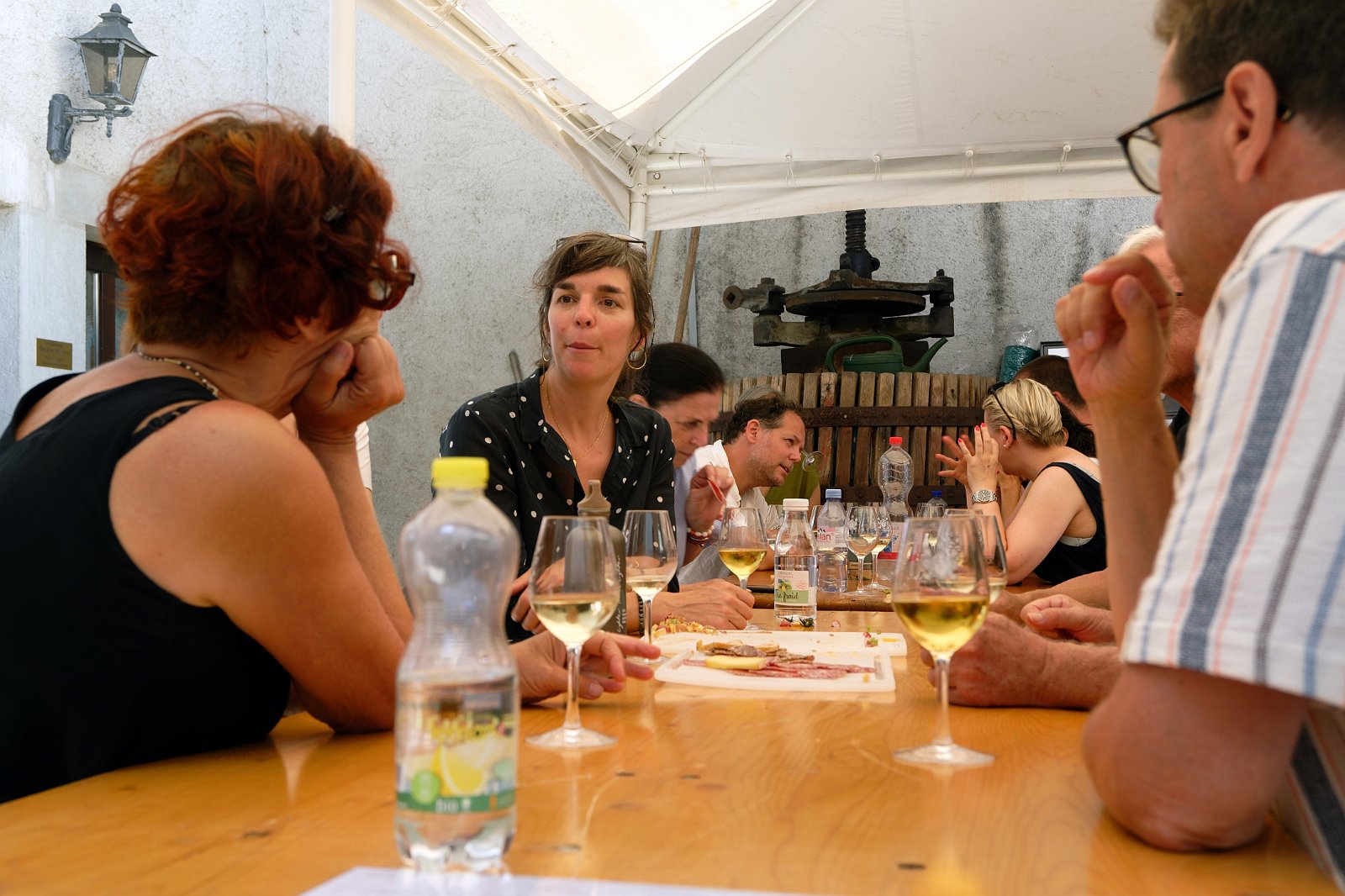 VSI.ASAI. - Generalversammlung in Lausanne, Geneva 26.06.2022 Wanderung durch die Rebberge