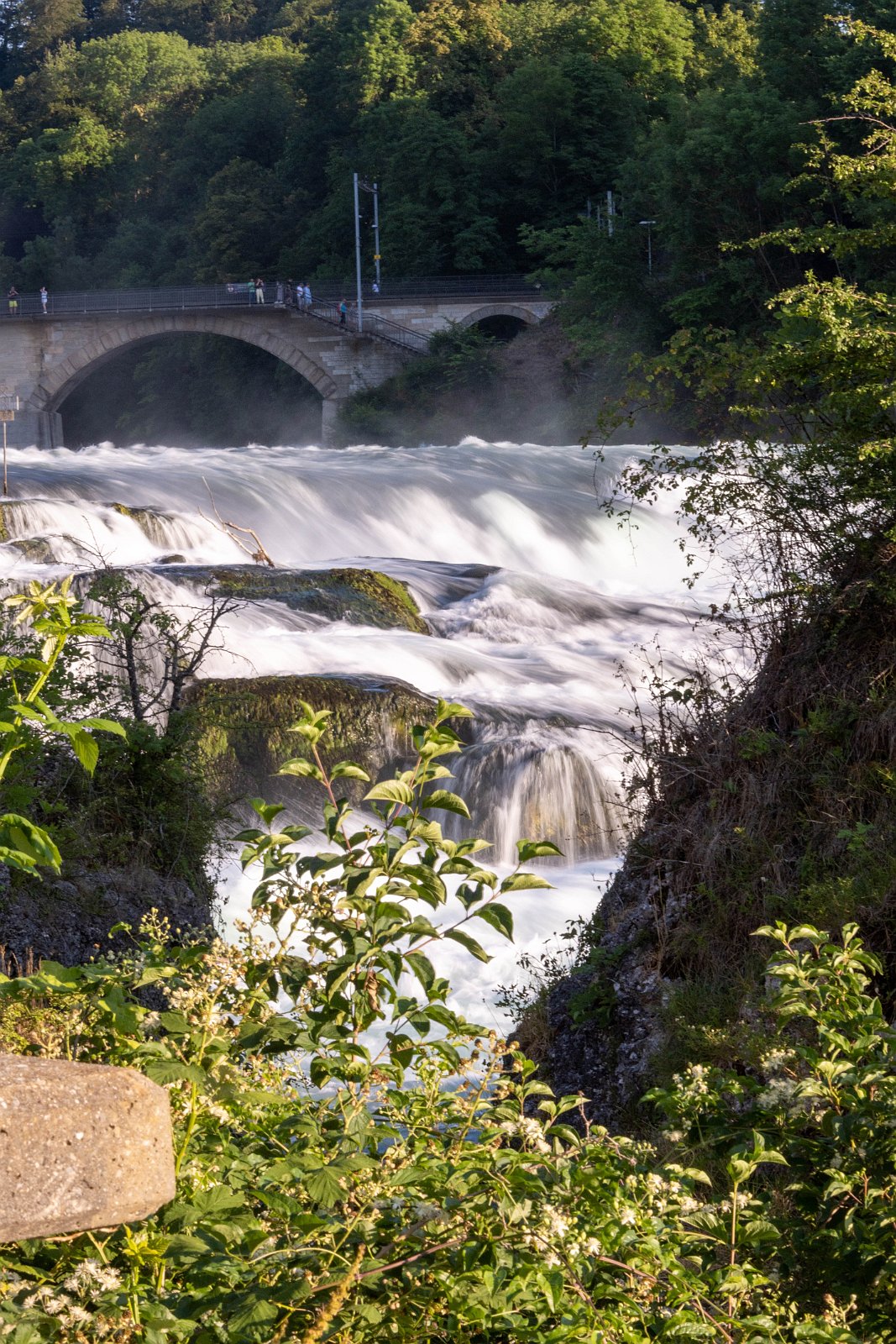 Neuhausen am Rheinfall 
