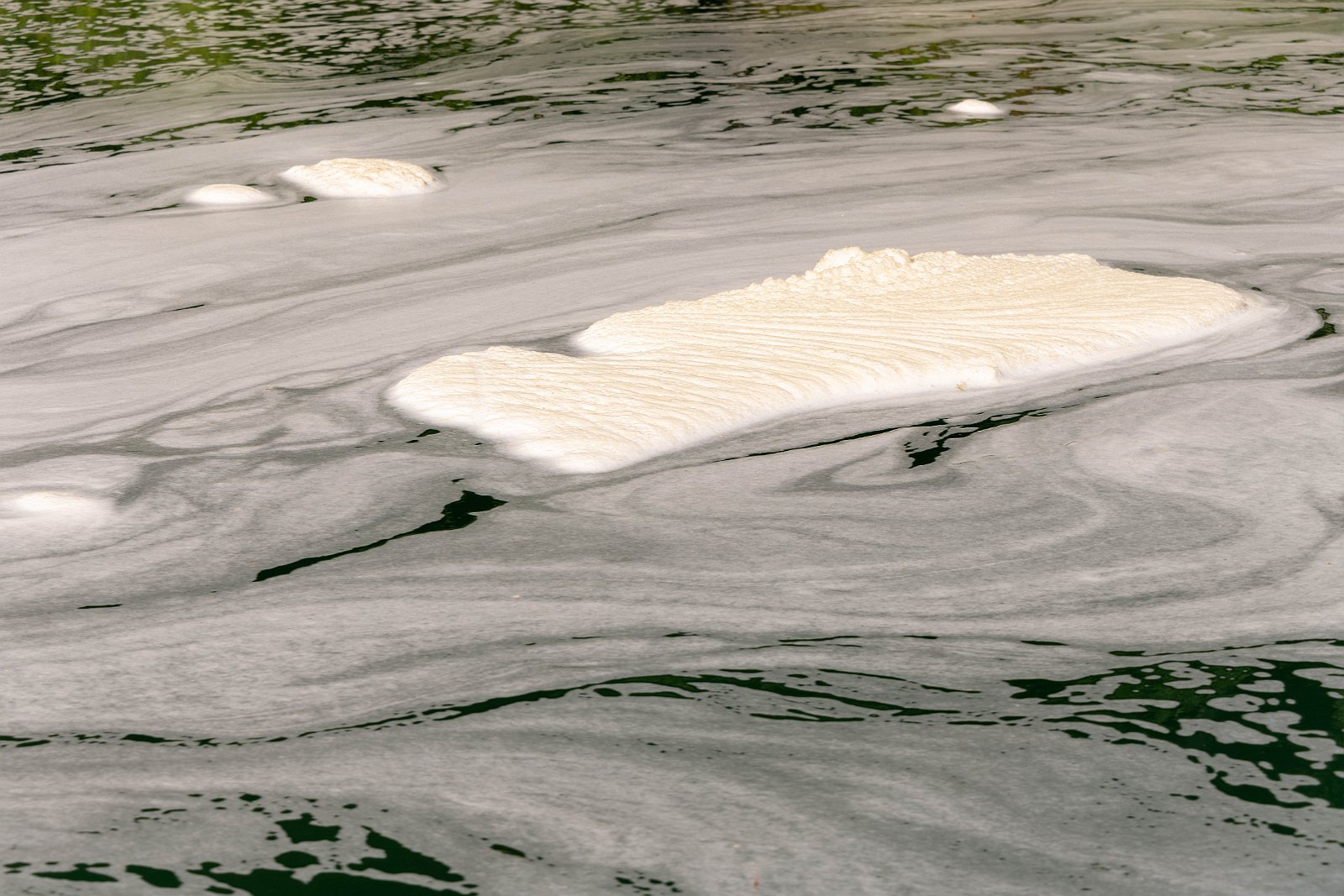 Schifffahrt auf dem Rhein 