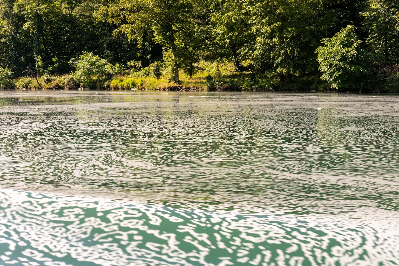 Schifffahrt auf dem Rhein 