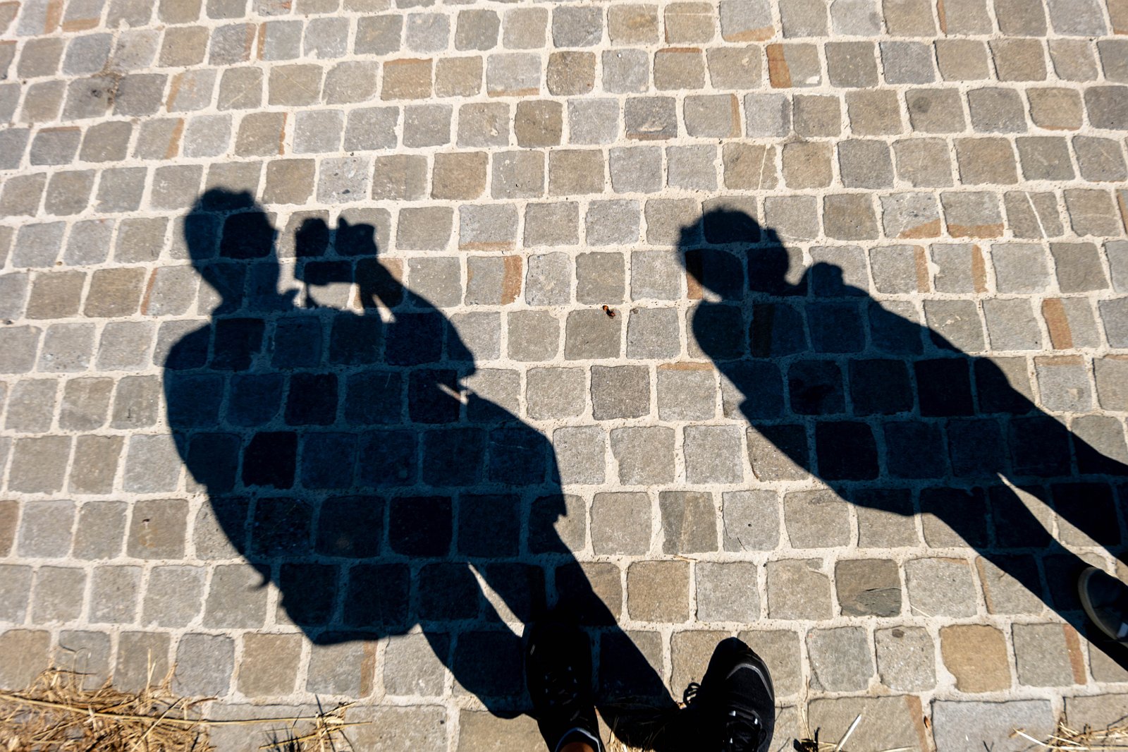 Stiftung Fintan & Sativa Rheinau AG 