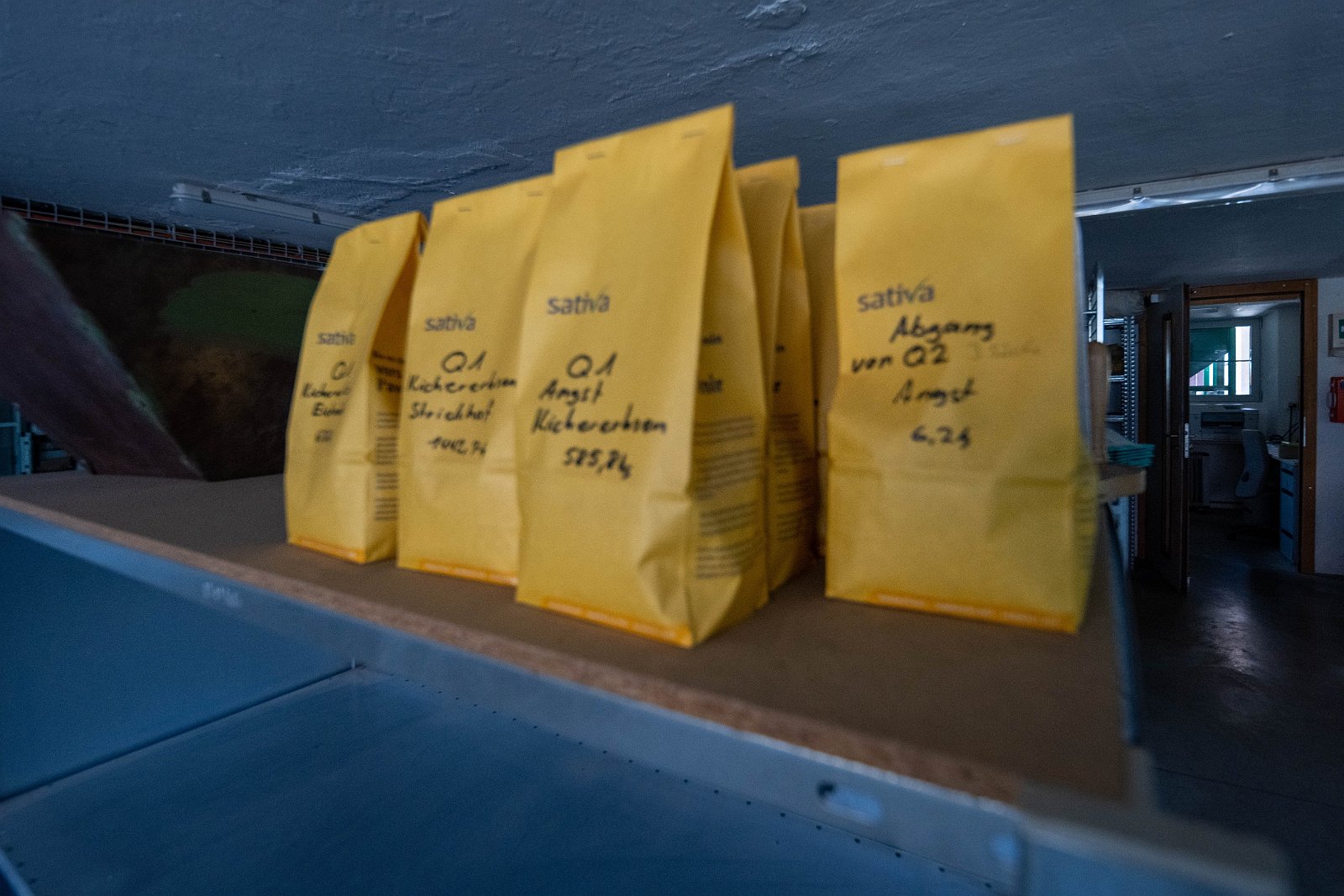 Stiftung Fintan & Sativa Rheinau AG 