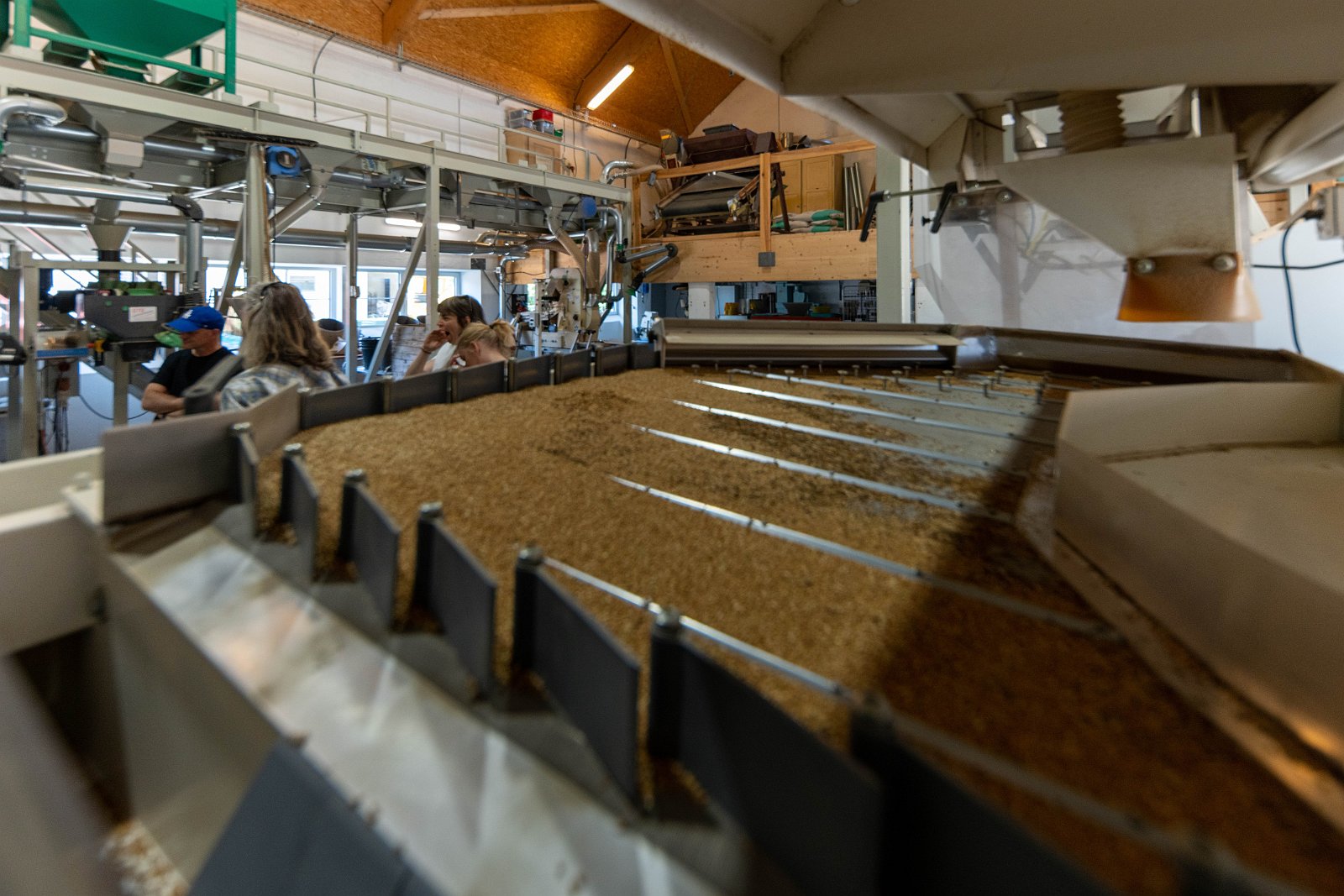 Stiftung Fintan & Sativa Rheinau AG 