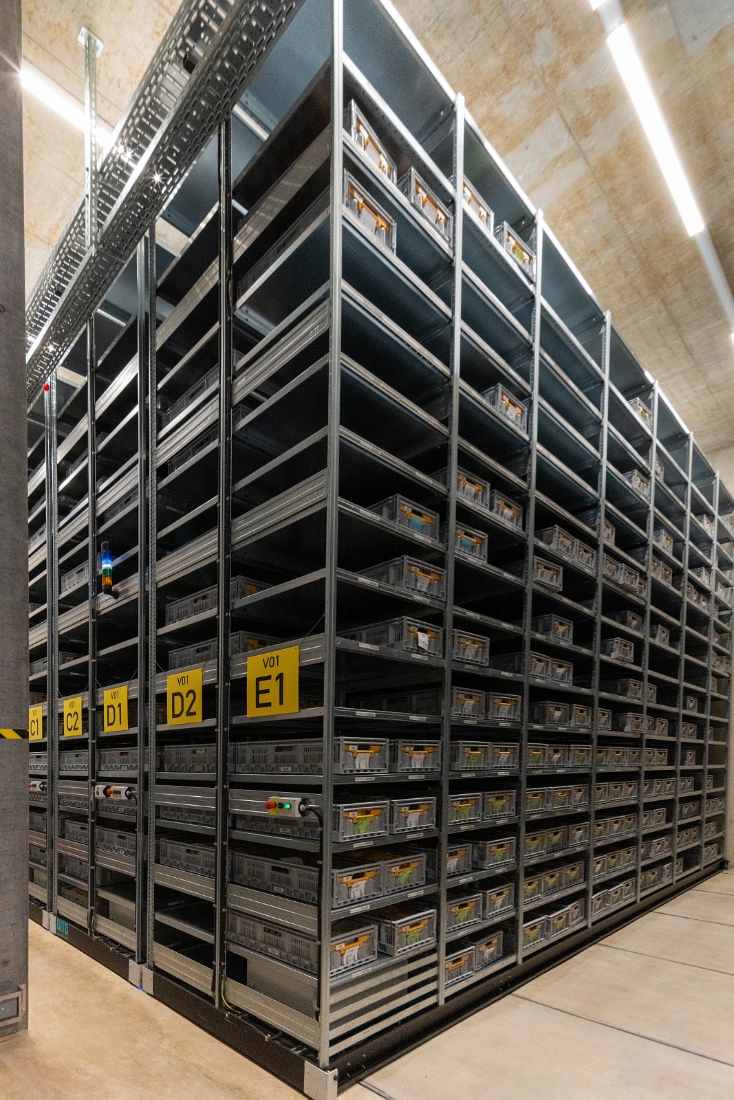 Stiftung Fintan & Sativa Rheinau AG 