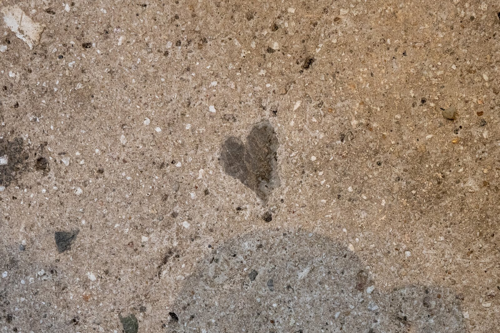 VSI.ASAI - Generalversammlung Mai 2025 