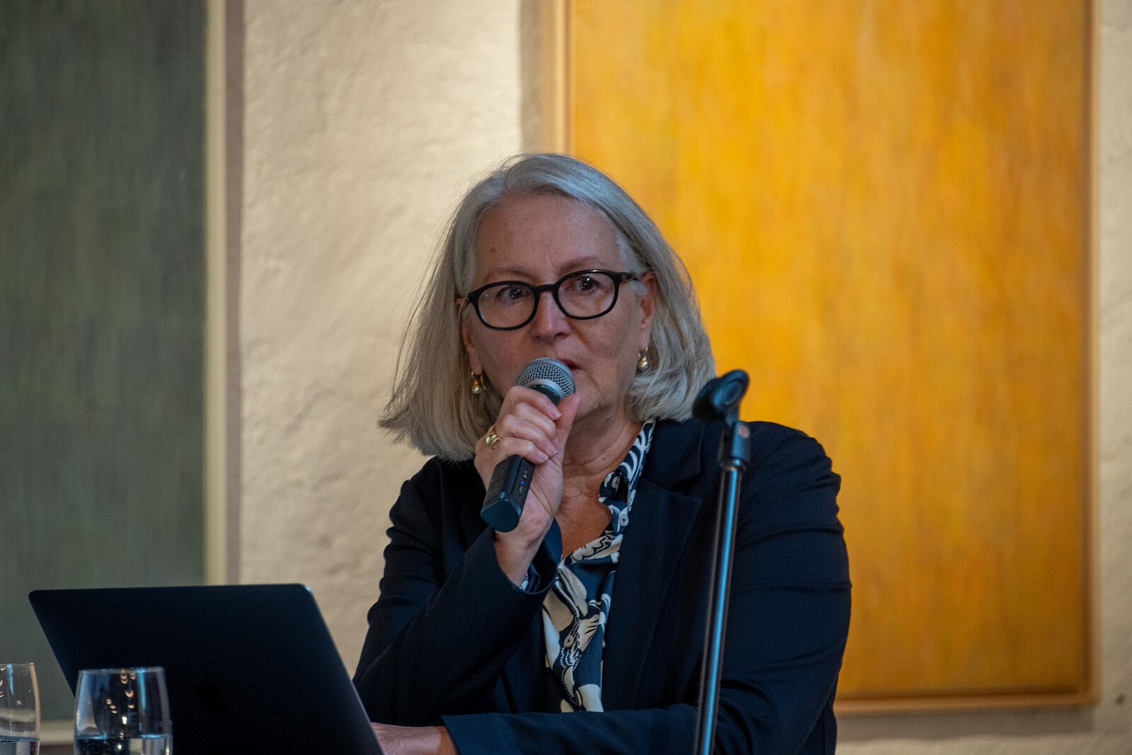 VSI.ASAI - Generalversammlung Mai 2025 