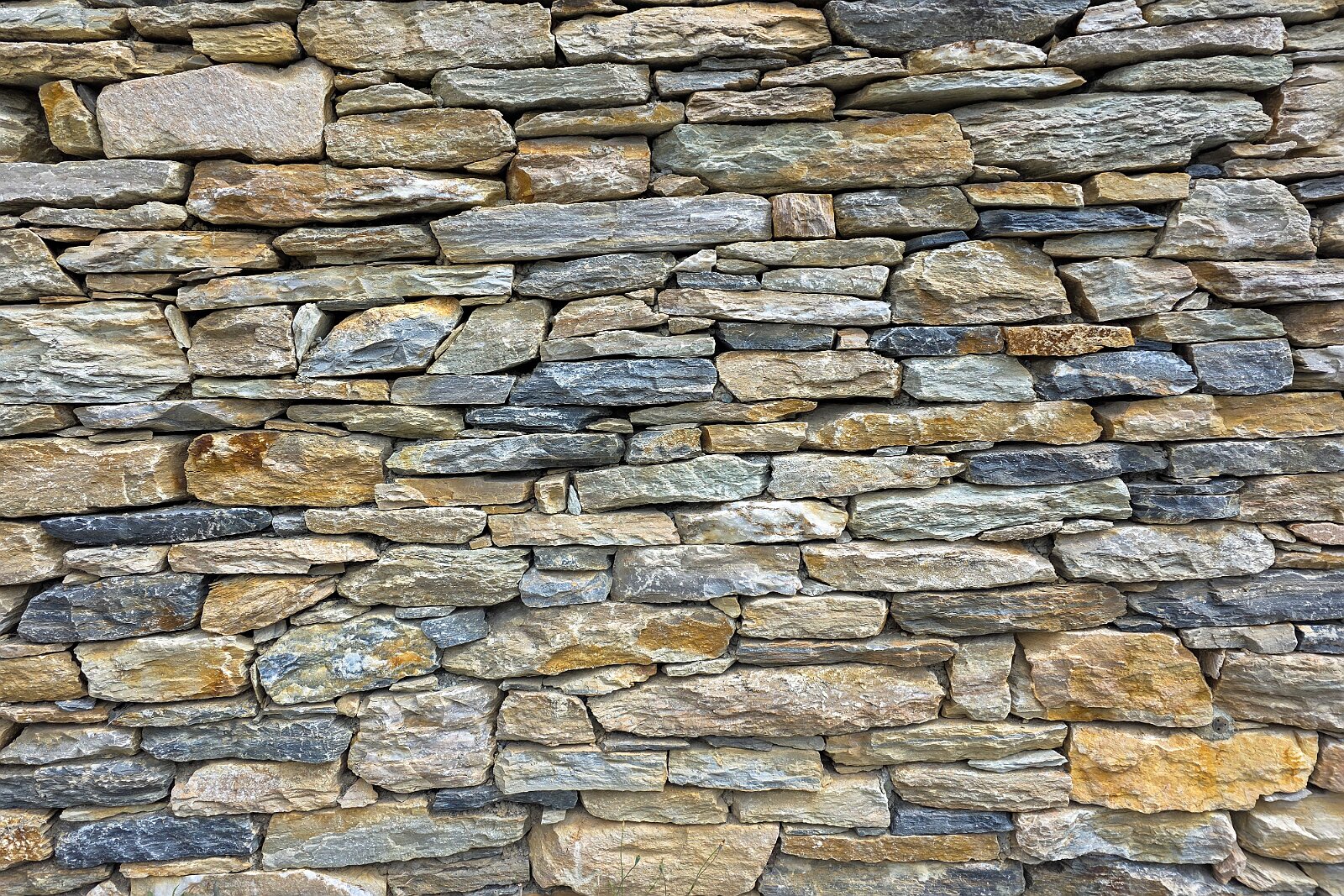 VSI.ASAI - Generalversammlung Mai 2025 