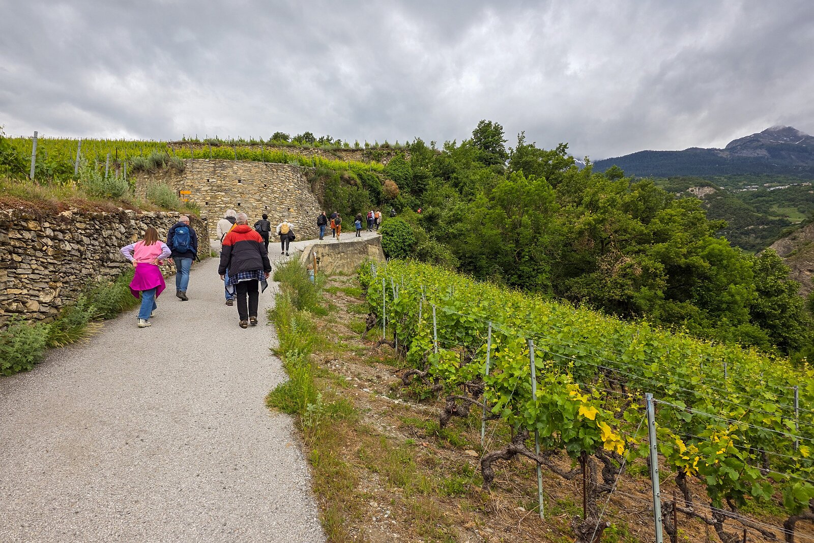 VSI.ASAI - Generalversammlung Mai 2025 