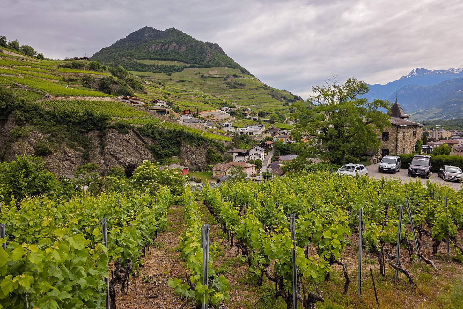 VSI.ASAI - Generalversammlung Mai 2025 