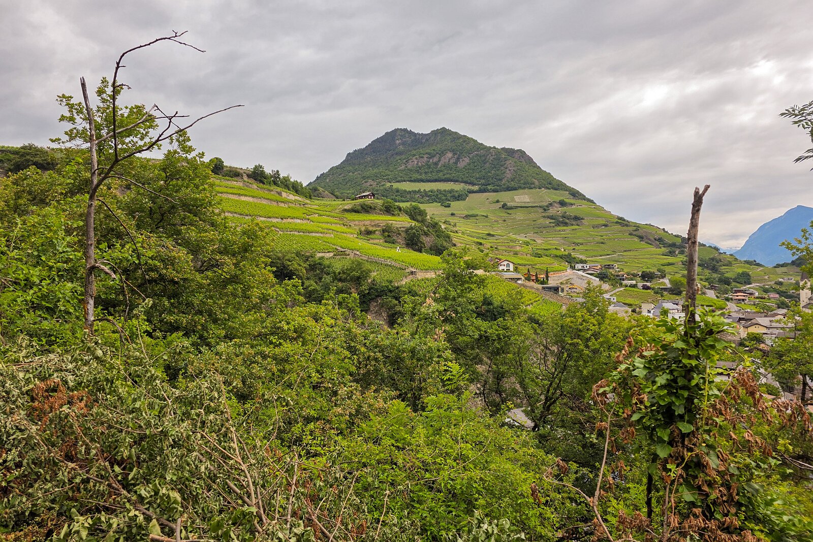 VSI.ASAI - Generalversammlung Mai 2025 