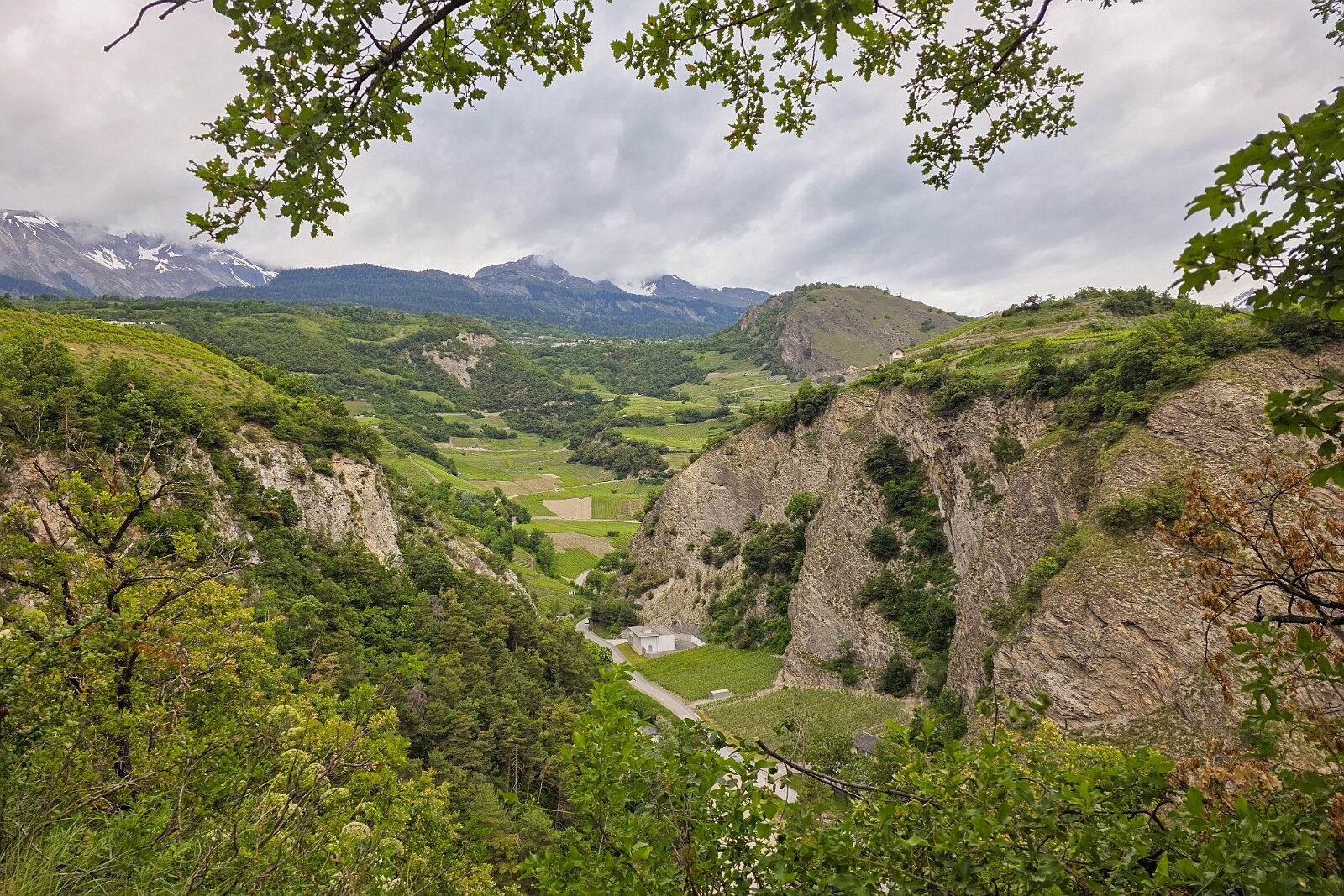 VSI.ASAI - Generalversammlung Mai 2025 