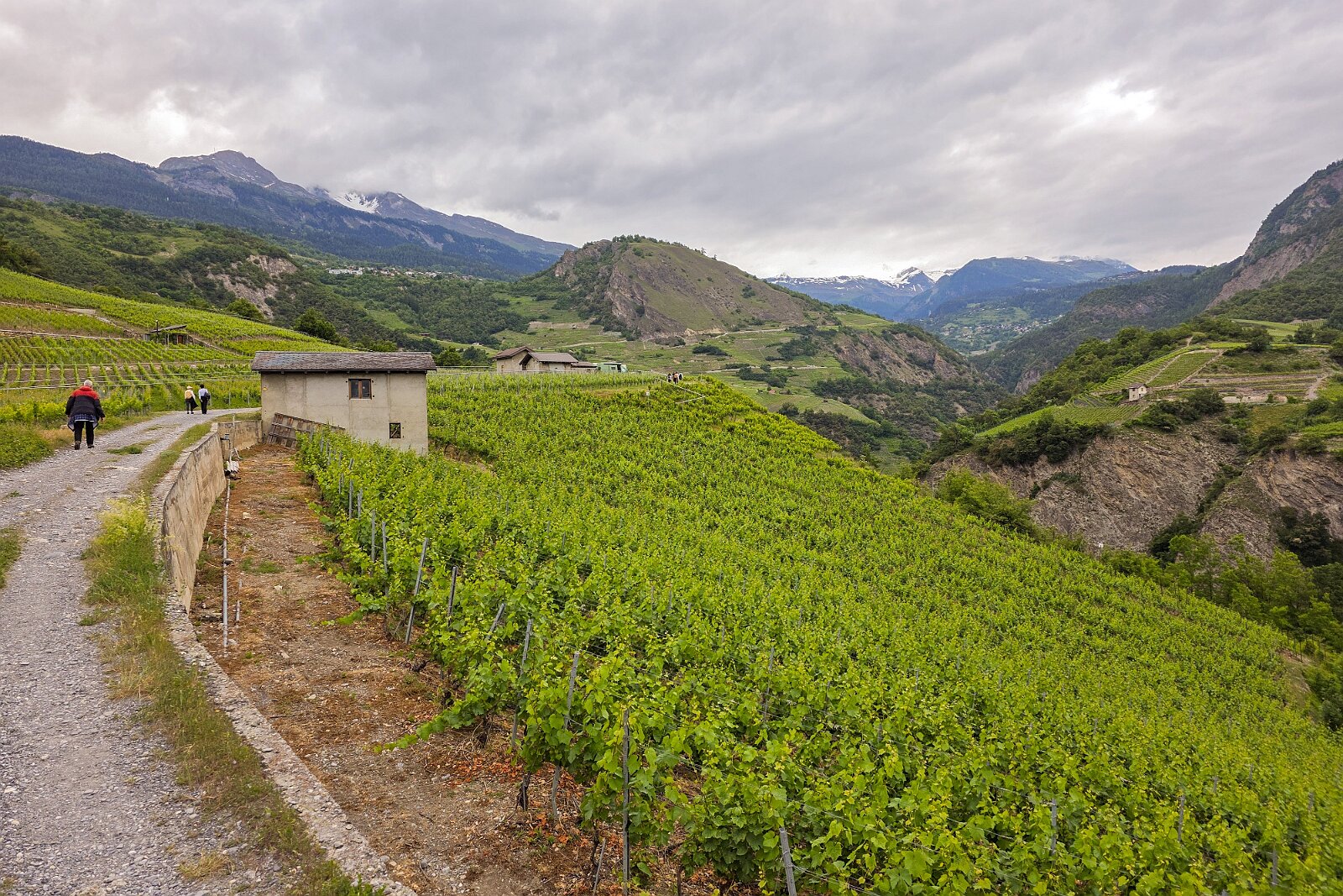 VSI.ASAI - Generalversammlung Mai 2025 