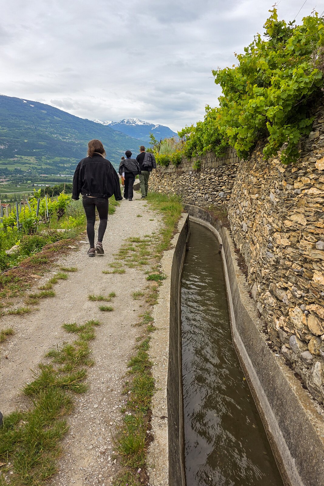 VSI.ASAI - Generalversammlung Mai 2025 