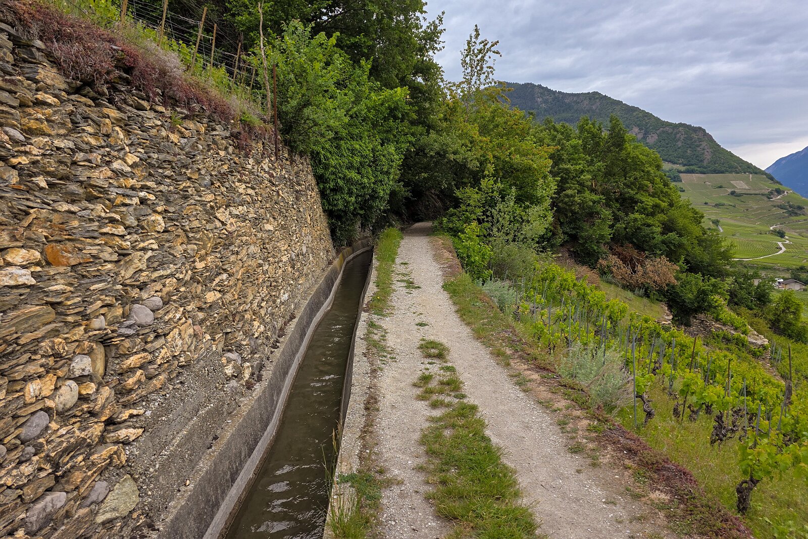 VSI.ASAI - Generalversammlung Mai 2025 