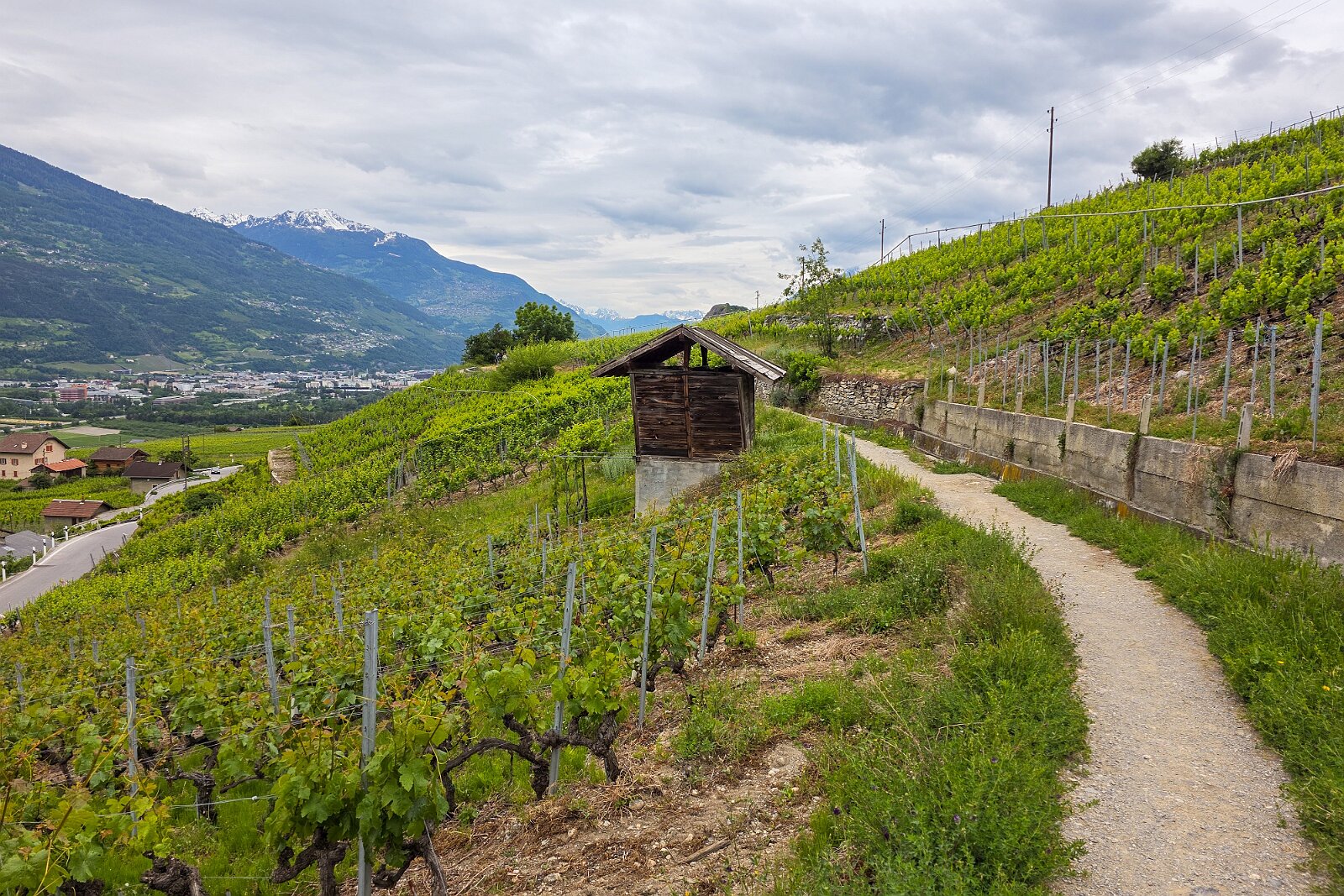 VSI.ASAI - Generalversammlung Mai 2025 