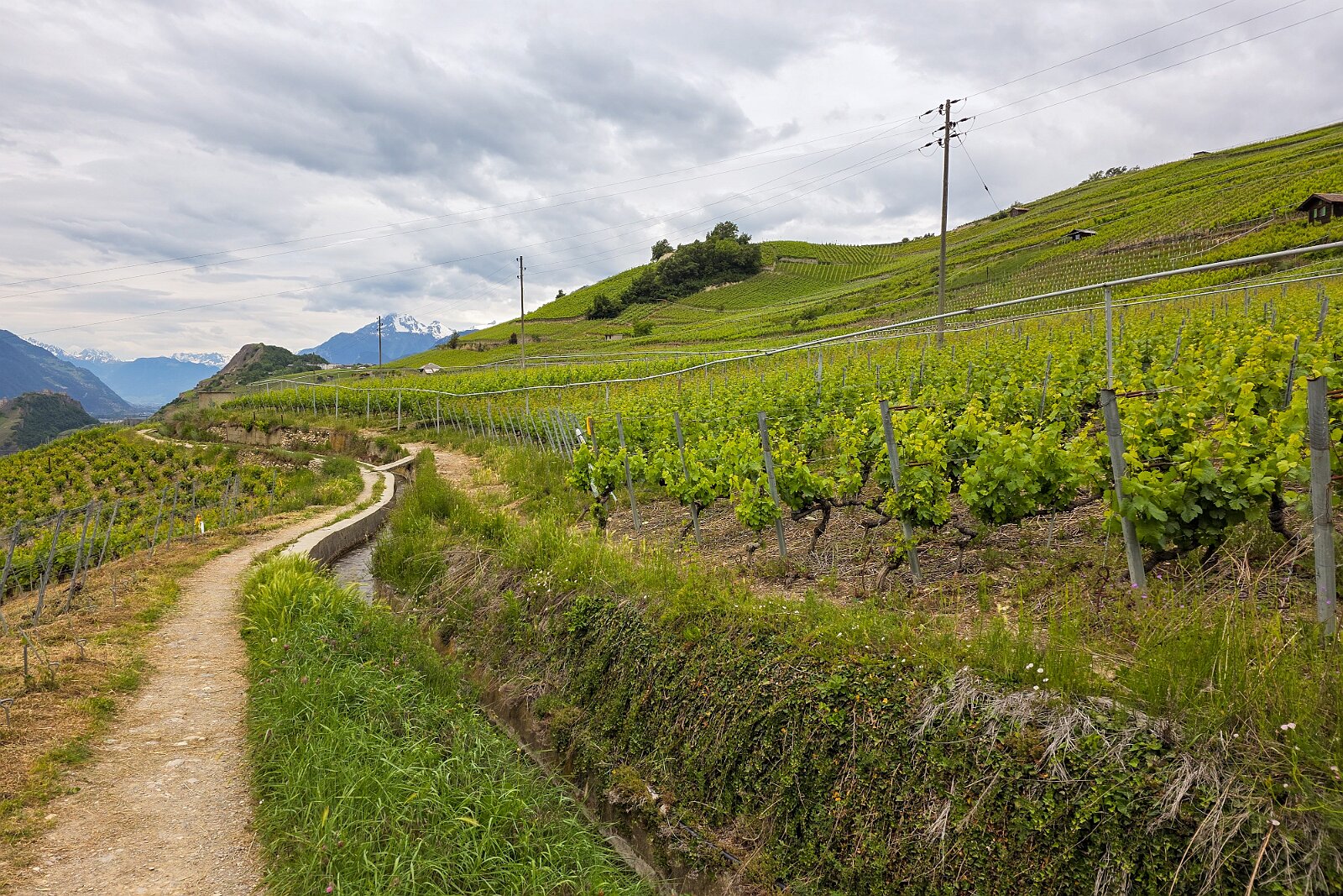 VSI.ASAI - Generalversammlung Mai 2025 