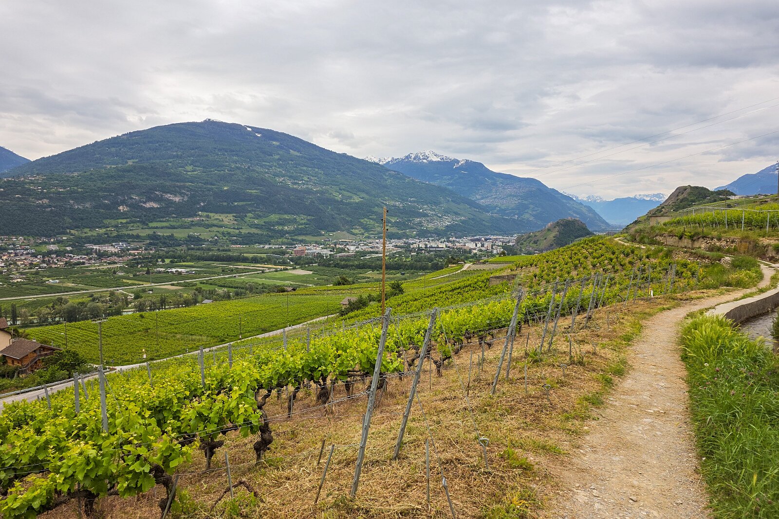 VSI.ASAI - Generalversammlung Mai 2025 