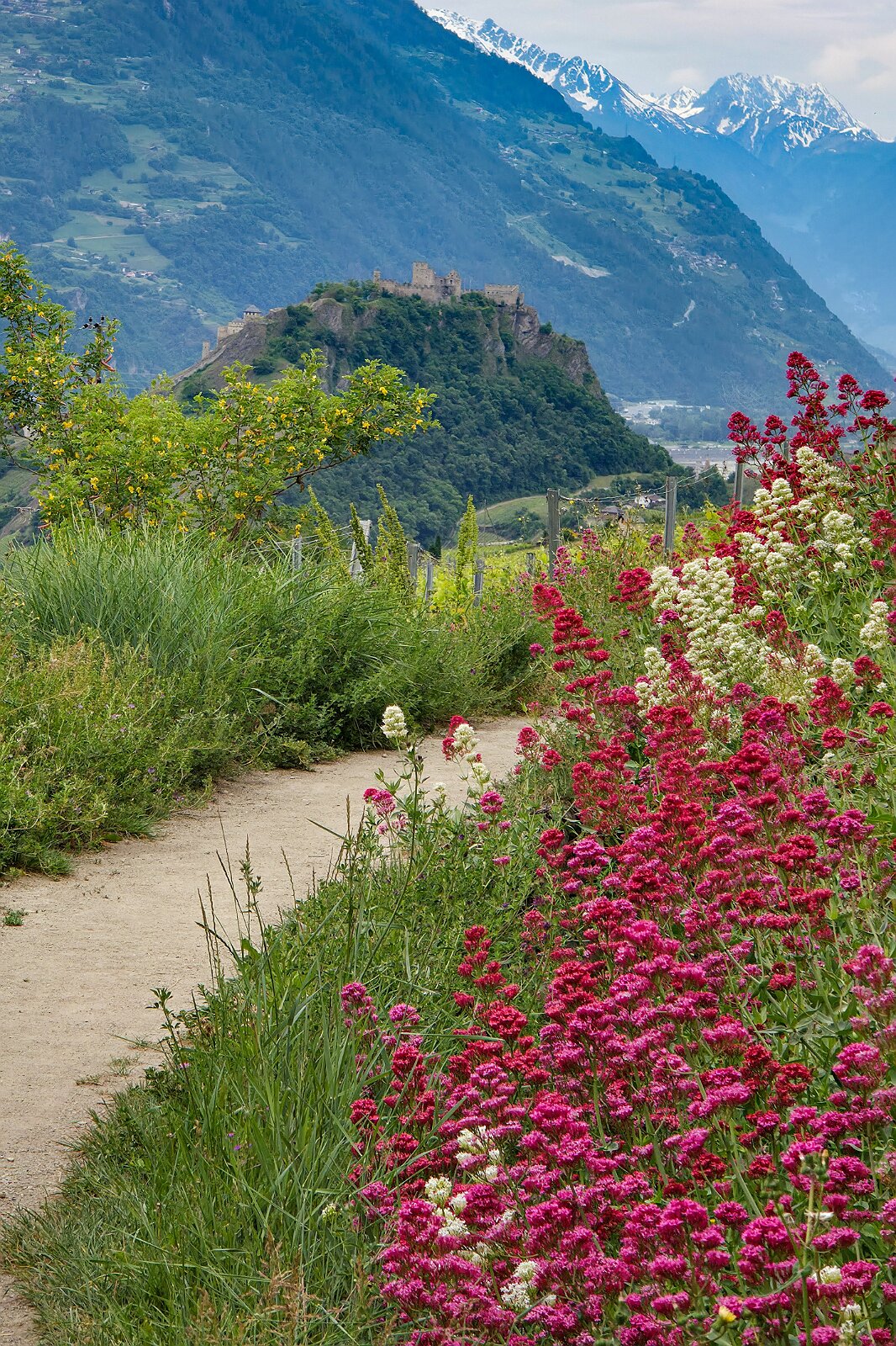 VSI.ASAI - Generalversammlung Mai 2025 