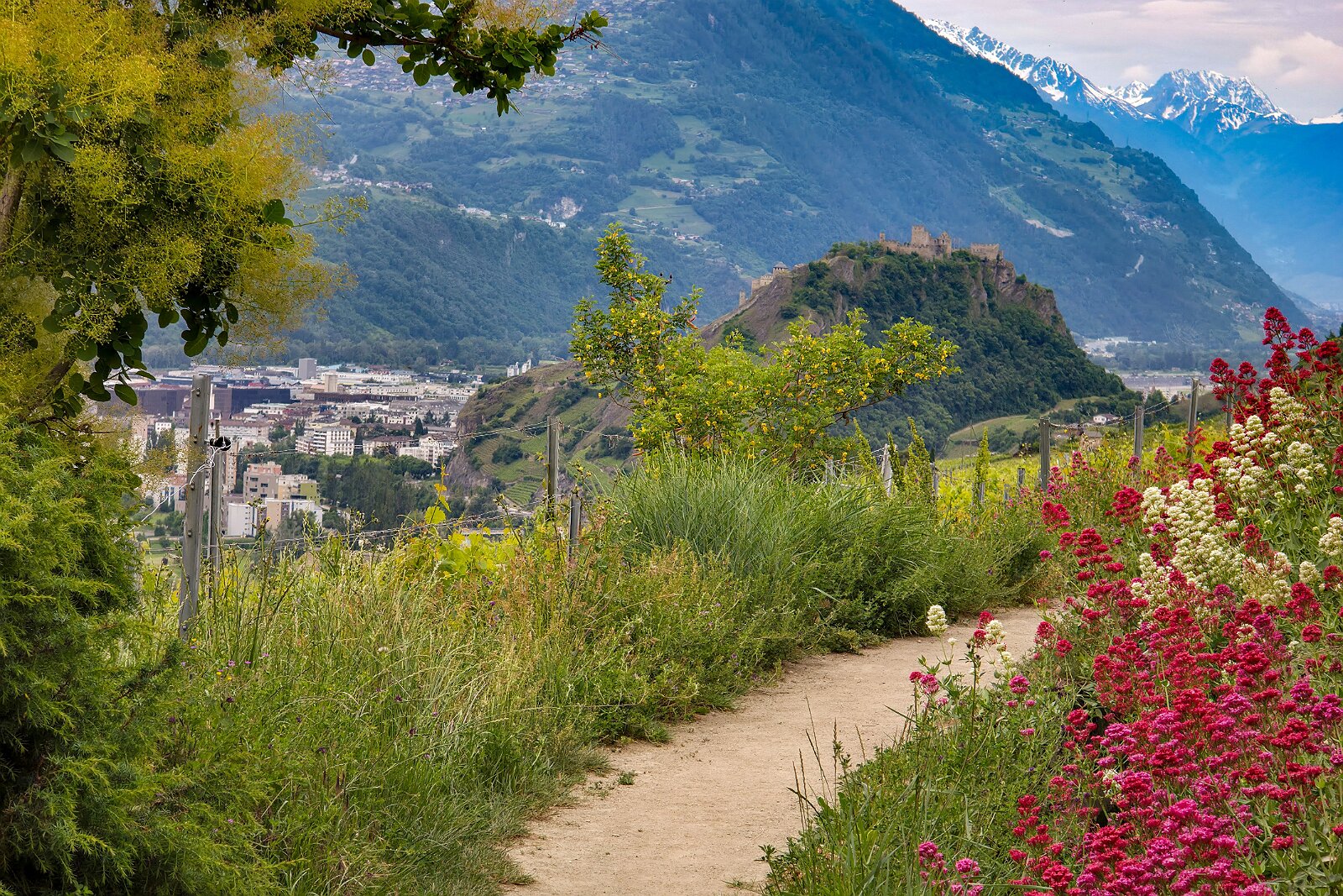 VSI.ASAI - Generalversammlung Mai 2025 