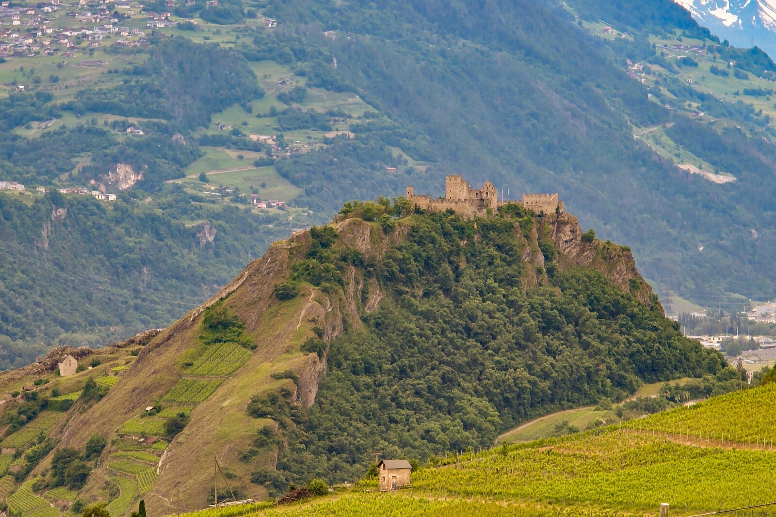 VSI.ASAI - Generalversammlung Mai 2025 