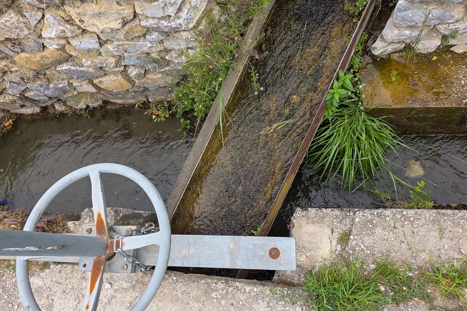 VSI.ASAI - Generalversammlung Mai 2025 