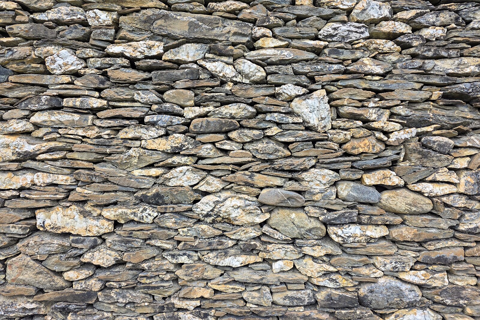 VSI.ASAI - Generalversammlung Mai 2025 